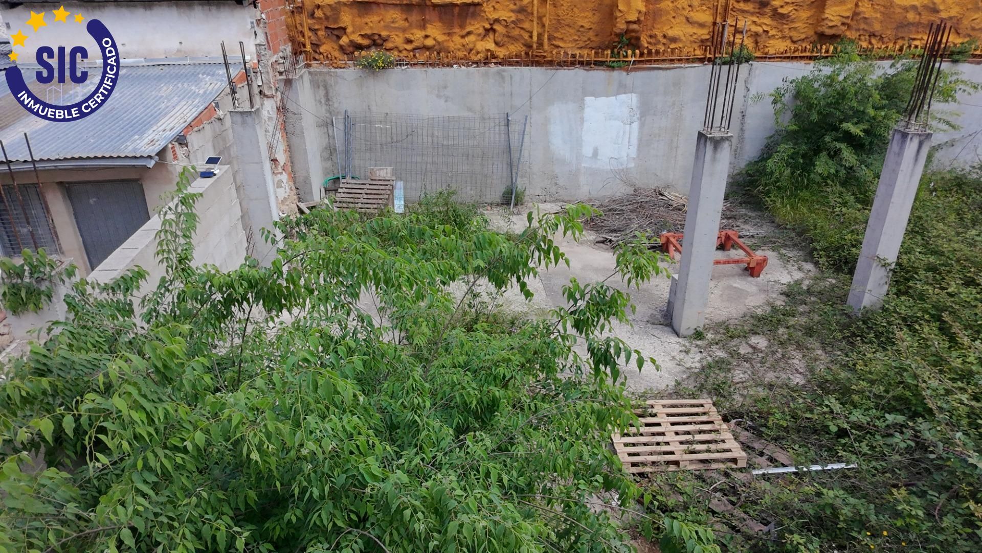 Plot in Enguera