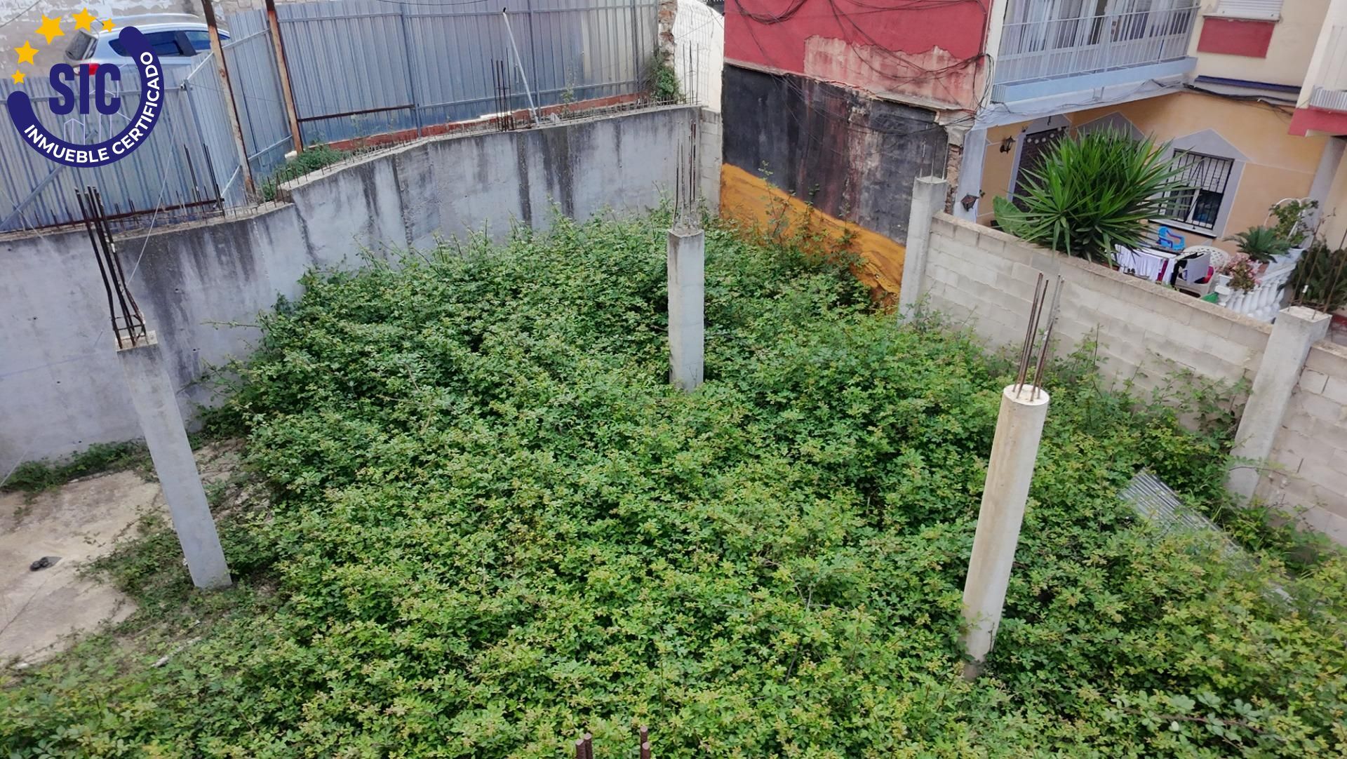 Plot in Enguera