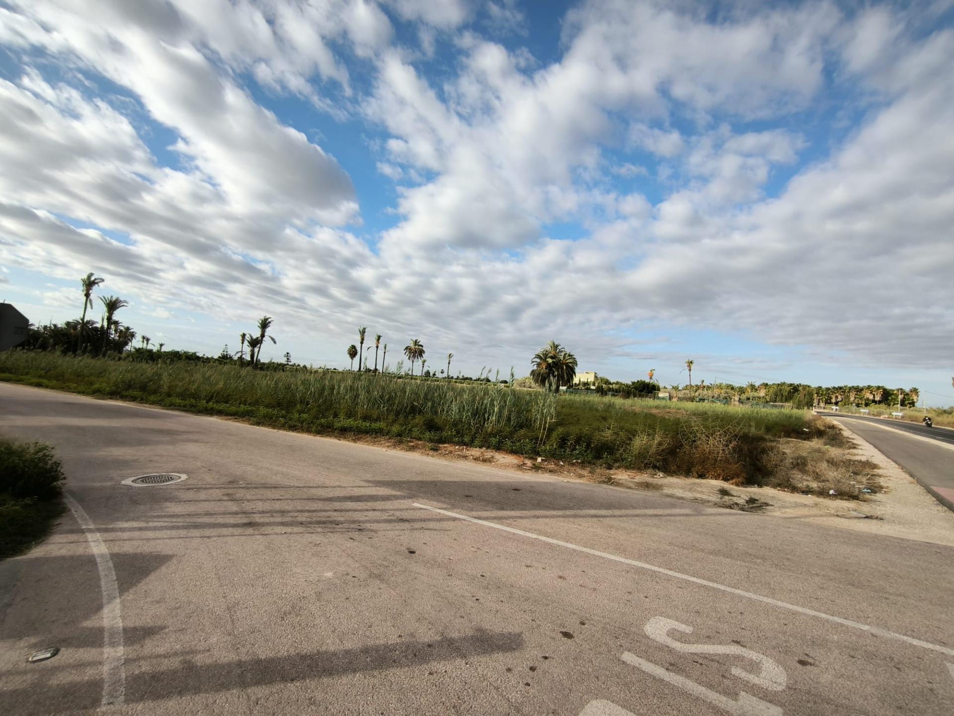 Fincas y solares-Venta-Elche-1888628