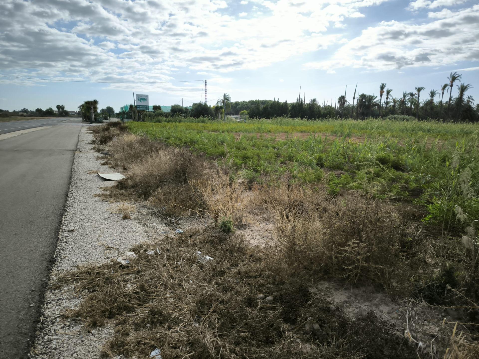 Fincas y solares-Venta-Elche-1888628-Foto-5