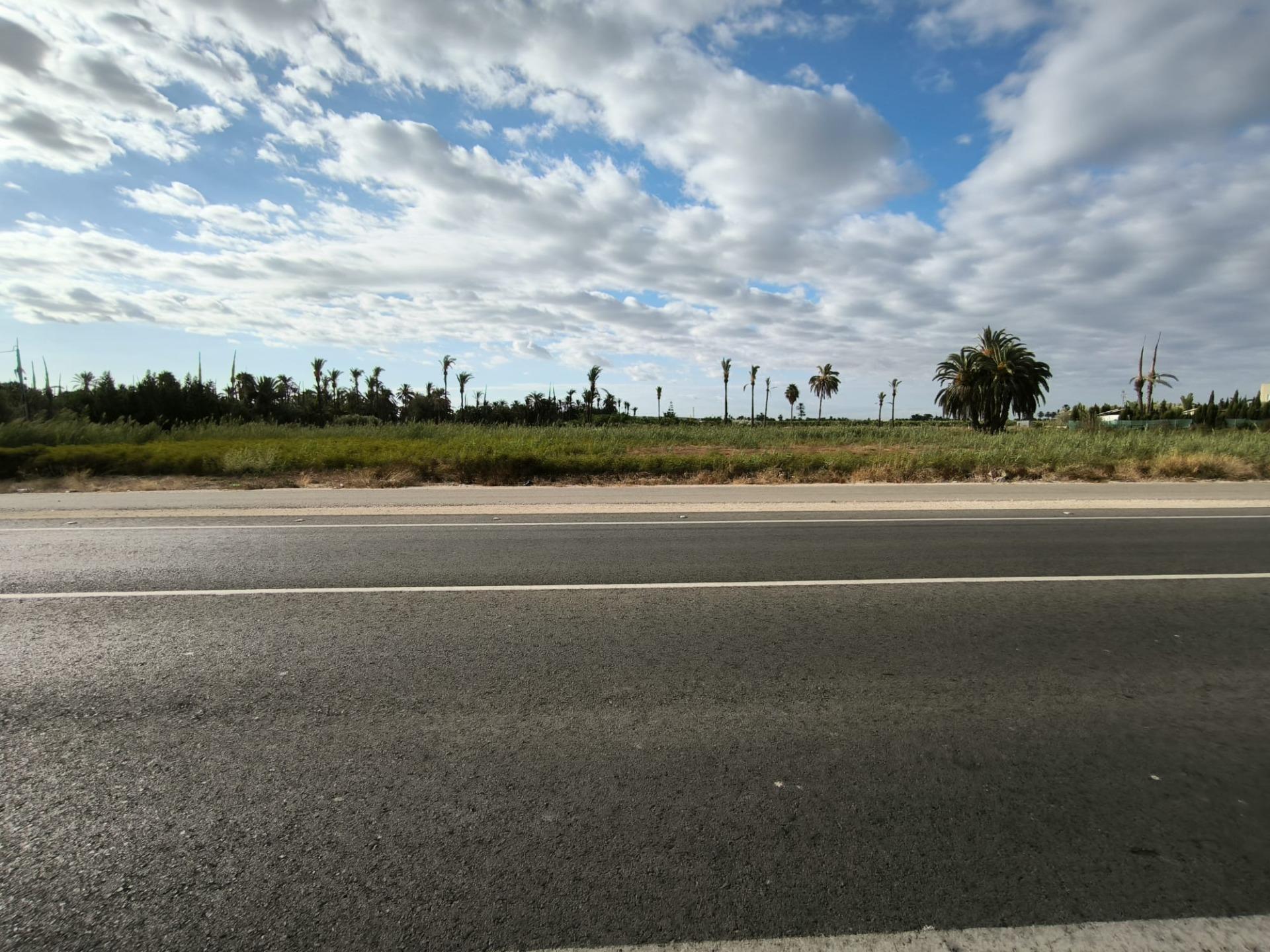 Fincas y solares-Venta-Elche-1888628-Foto-15