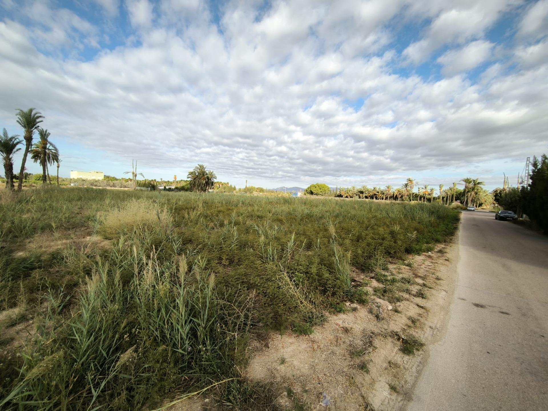 Fincas y solares-Venta-Elche-1888628-Foto-20