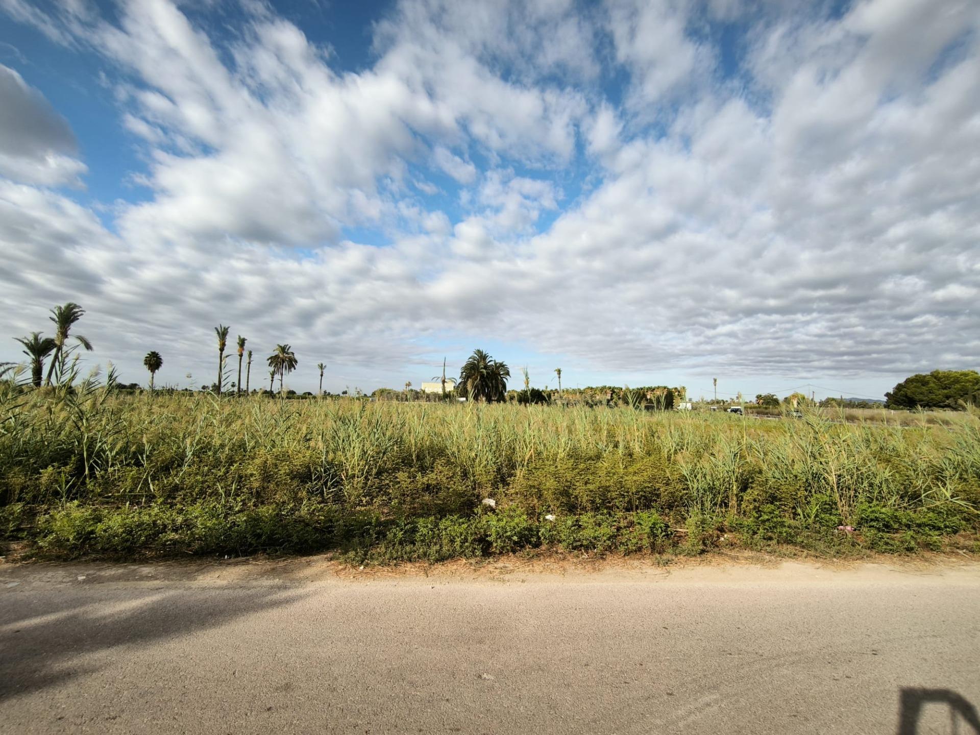 Fincas y solares-Venta-Elche-1888628-Foto-18