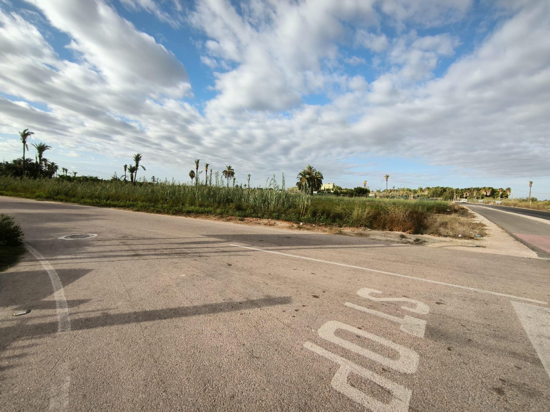 Fincas y solares-Venta-Elche-1888628-Foto-19
