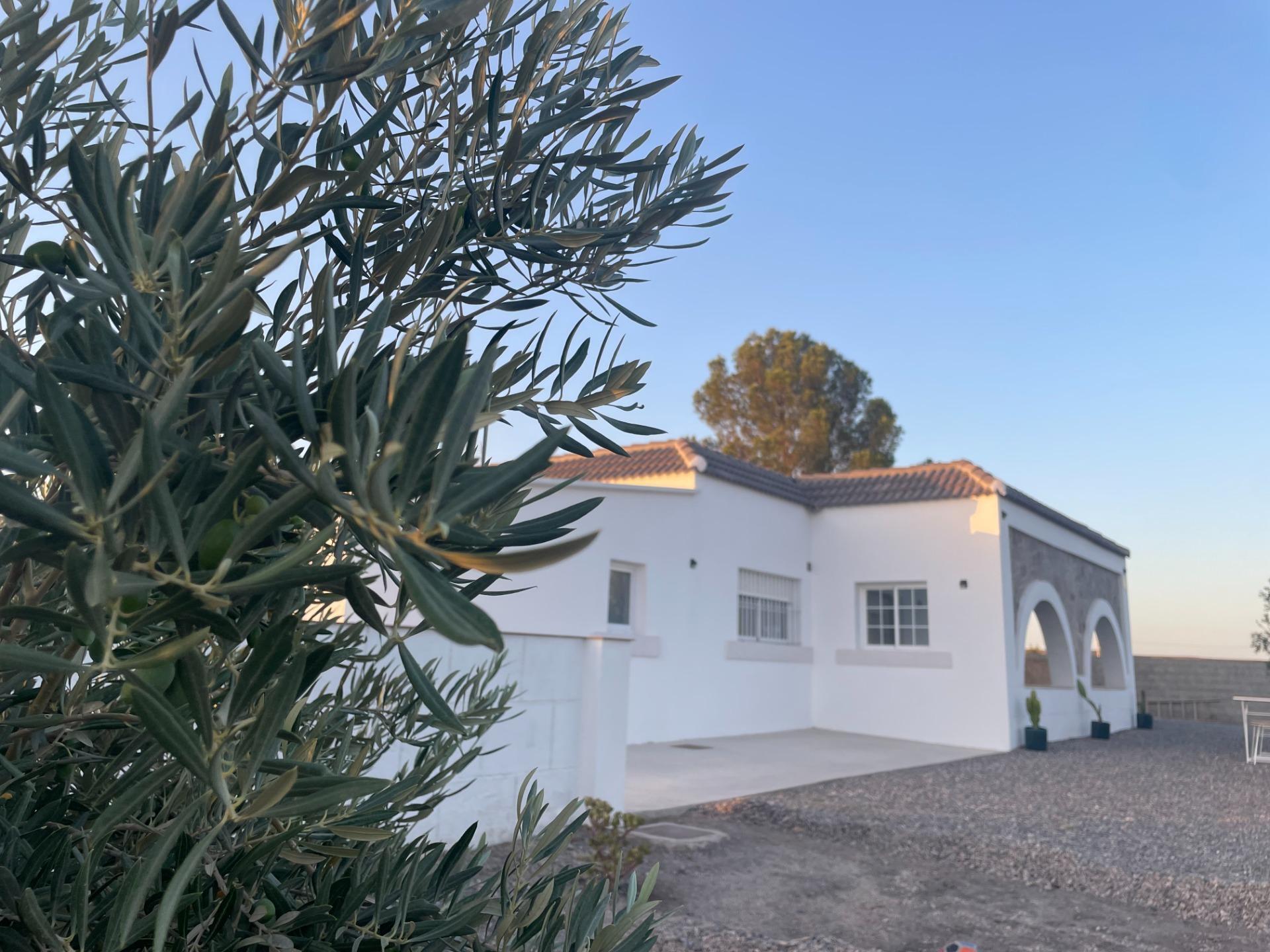 Pisos-Venta-Tabernas-1841816-Foto-13