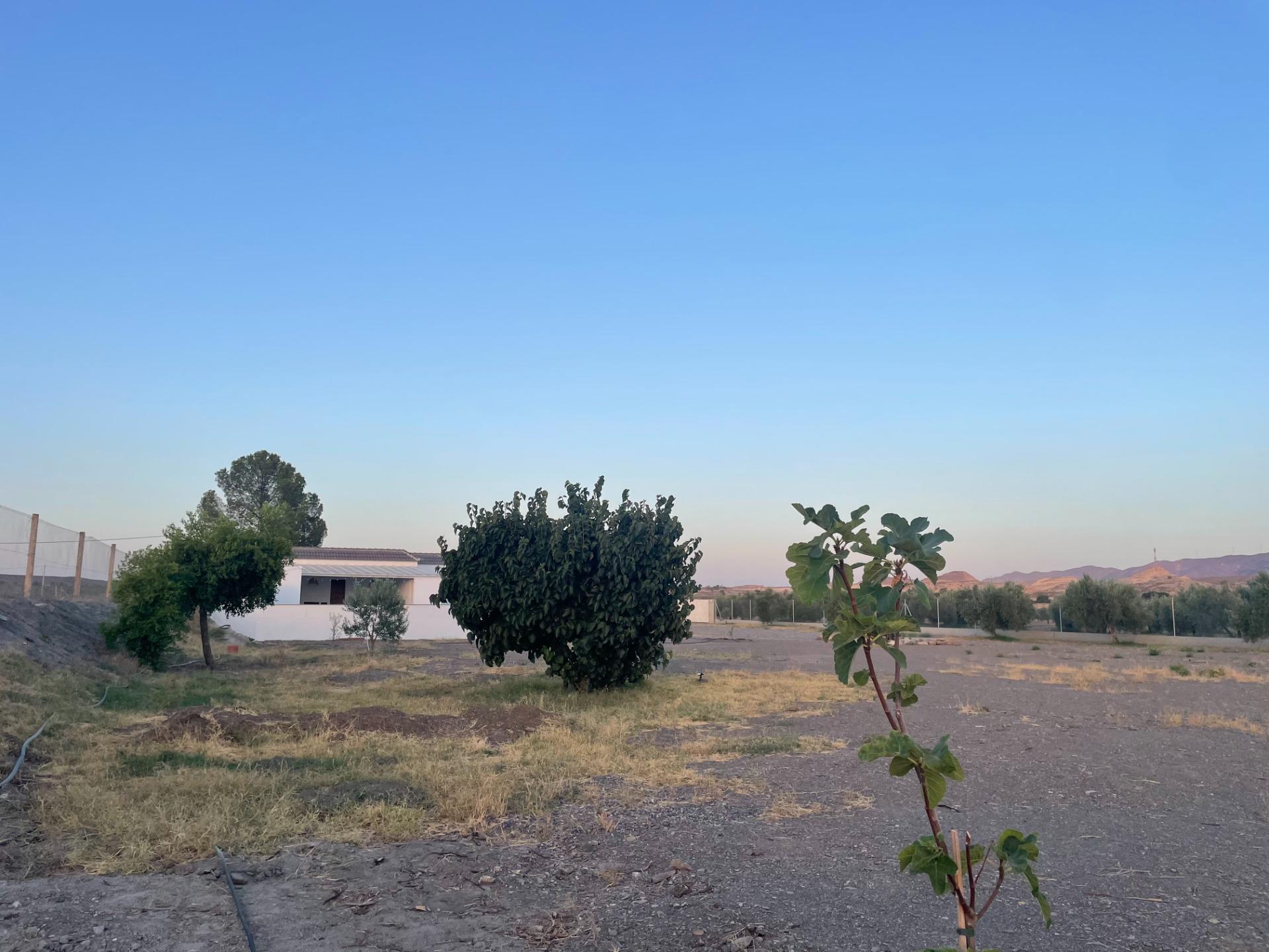 Pisos-Venta-Tabernas-1841816-Foto-40