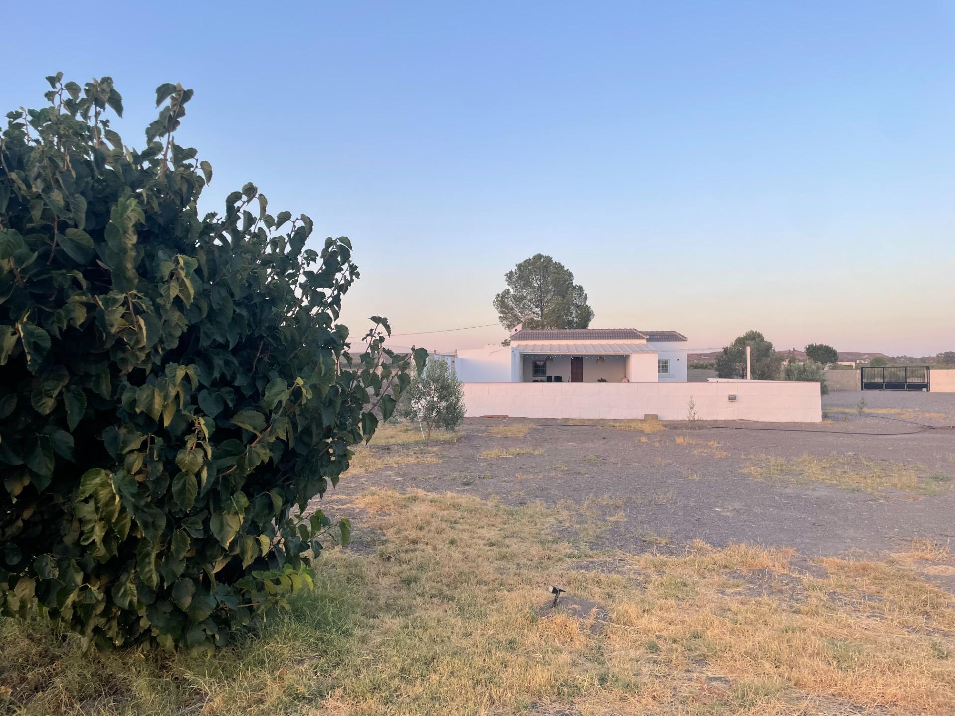 Pisos-Venta-Tabernas-1841816-Foto-41