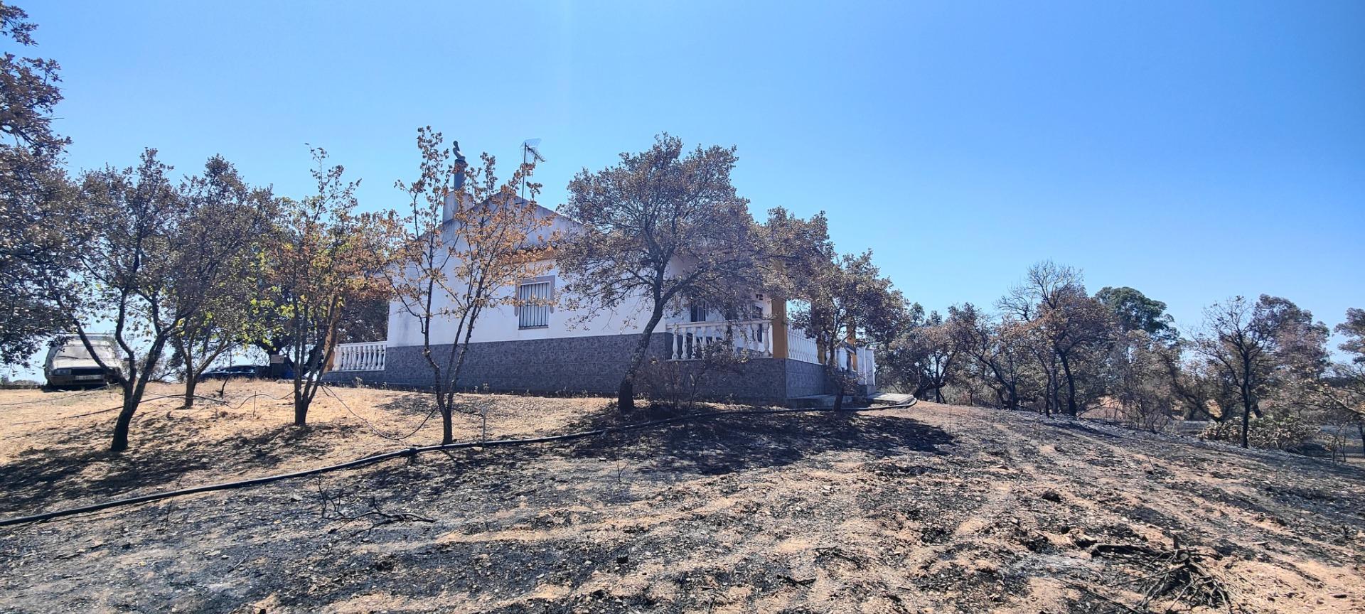 Pisos-Venta-Villanueva de los Castillejos-1866787-Foto-27