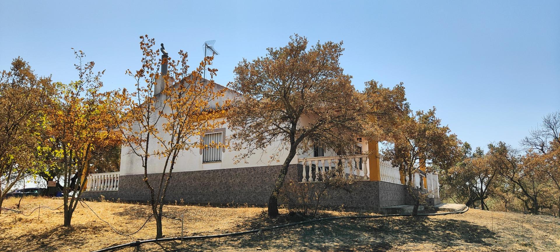 Pisos-Venta-Villanueva de los Castillejos-1866787-Foto-28