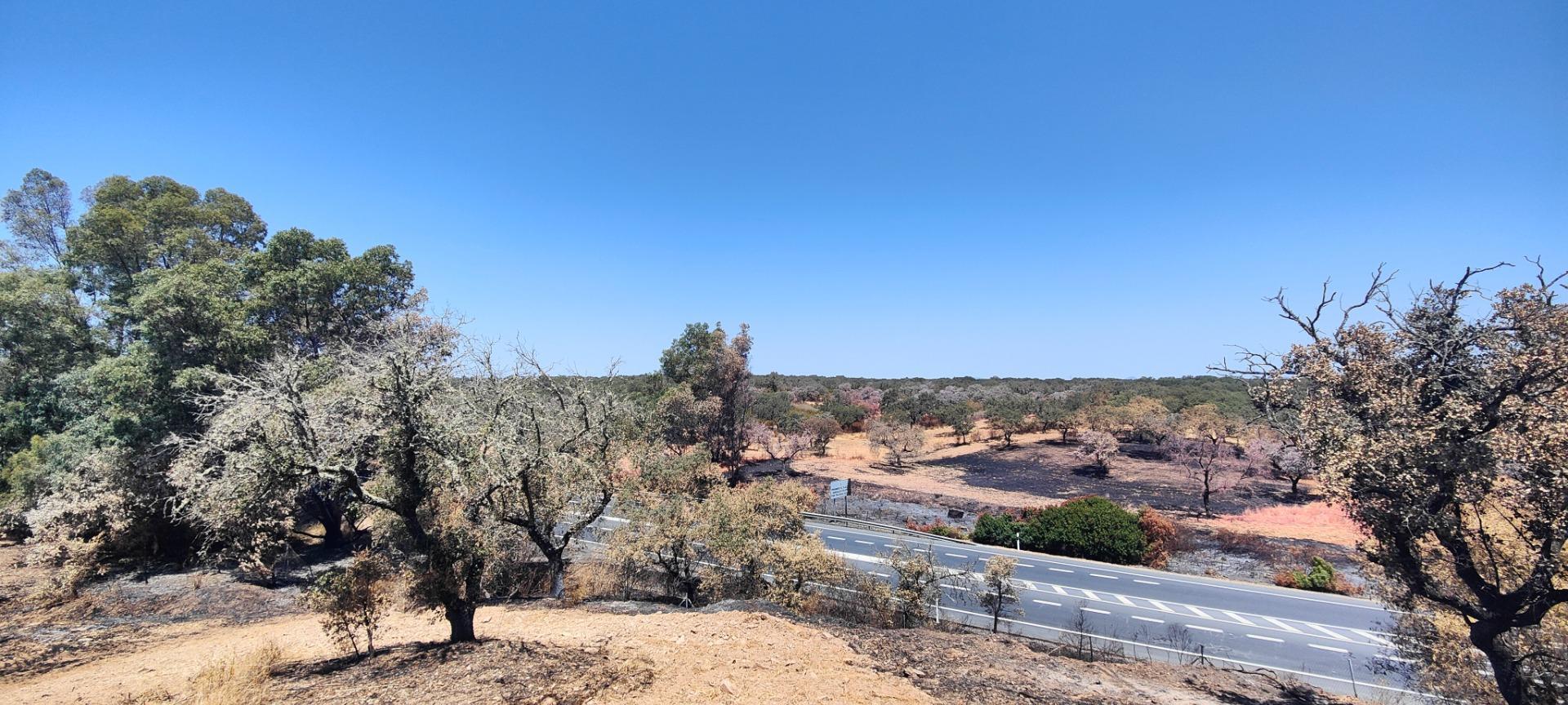 Pisos-Venta-Villanueva de los Castillejos-1866787-Foto-29