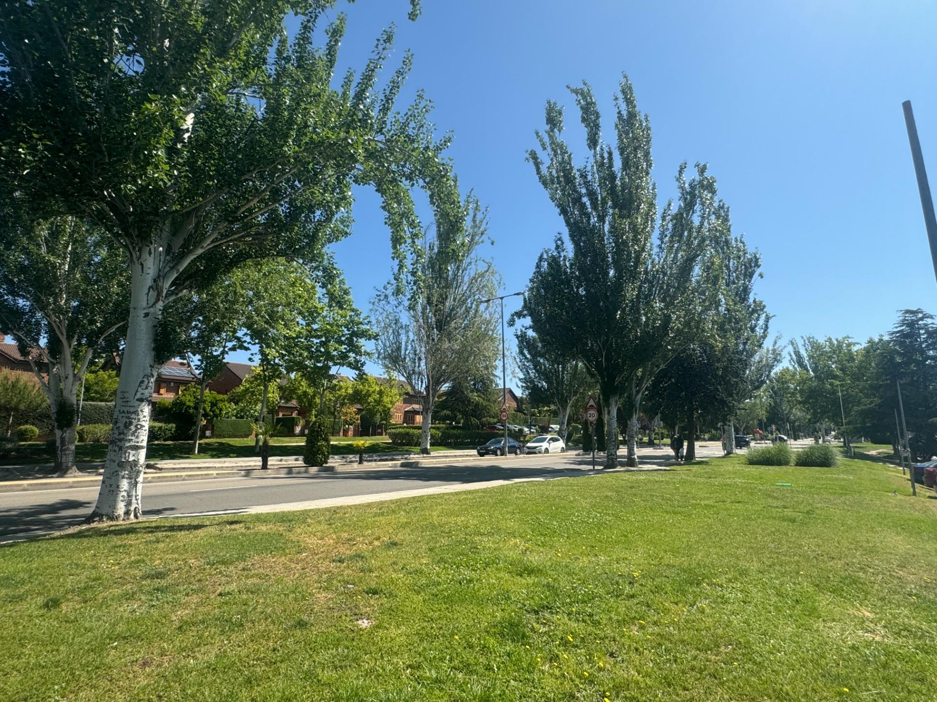 Business in Las Rozas de Madrid