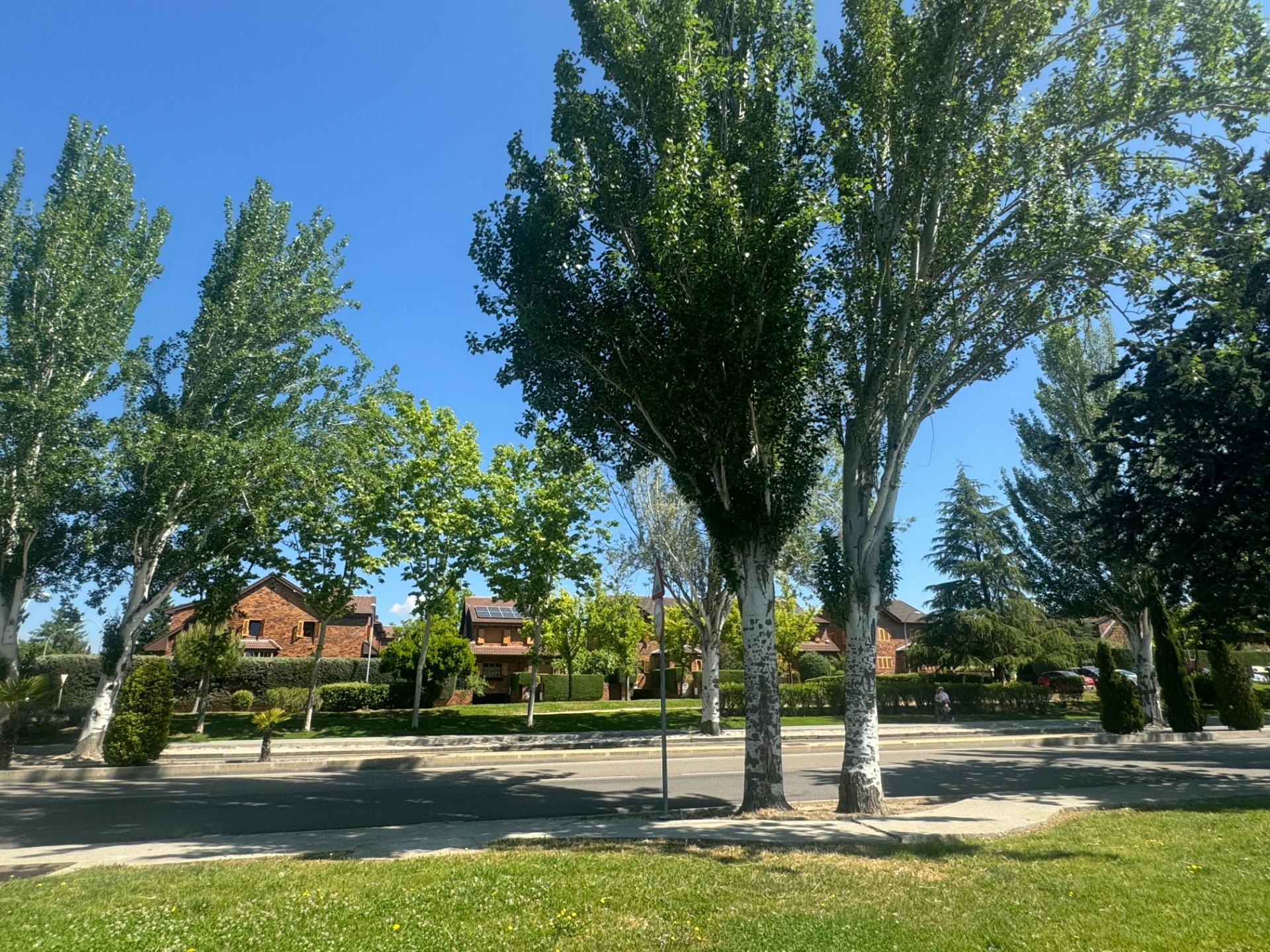 Business in Las Rozas de Madrid
