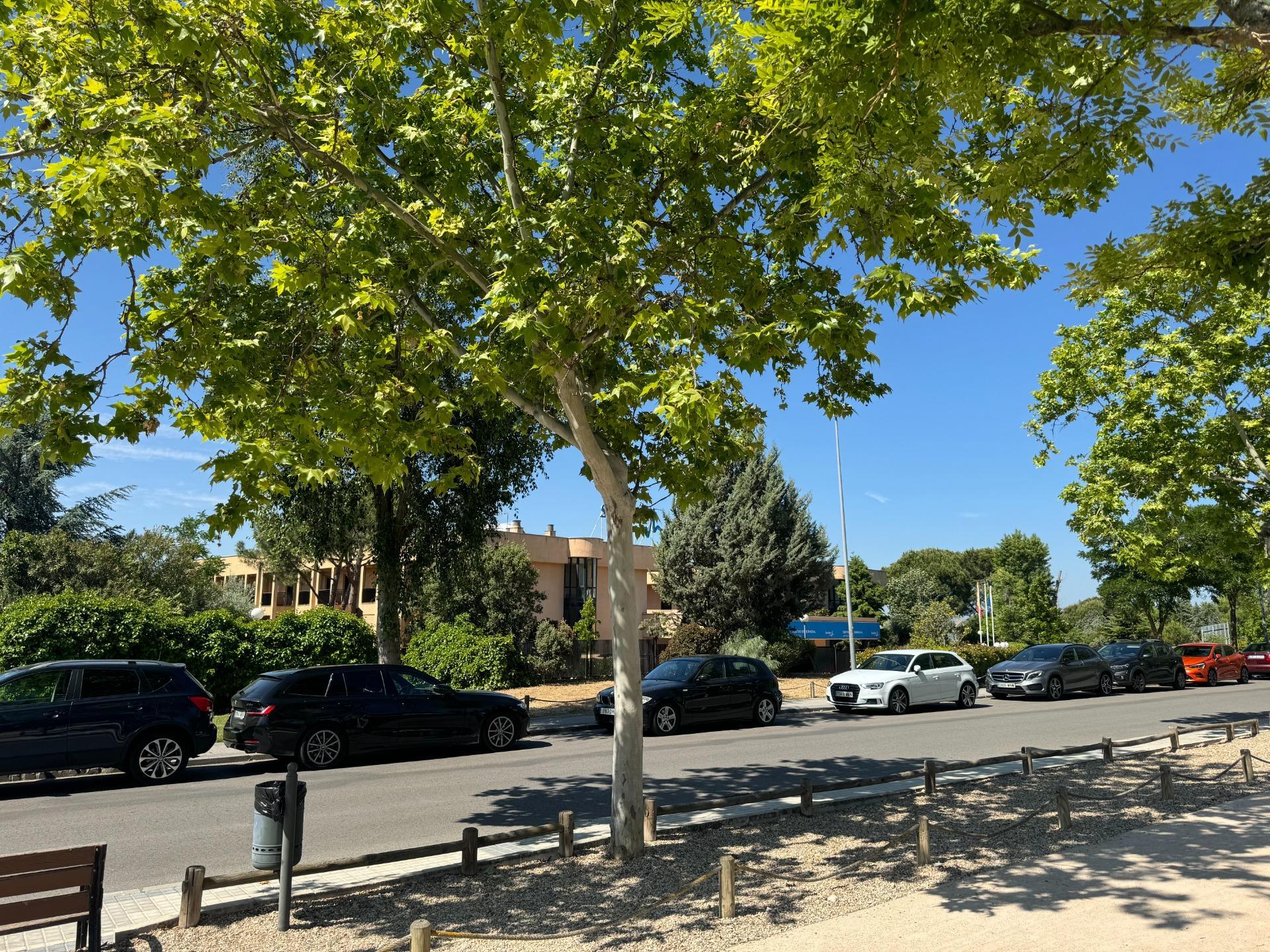 Business in Las Rozas de Madrid