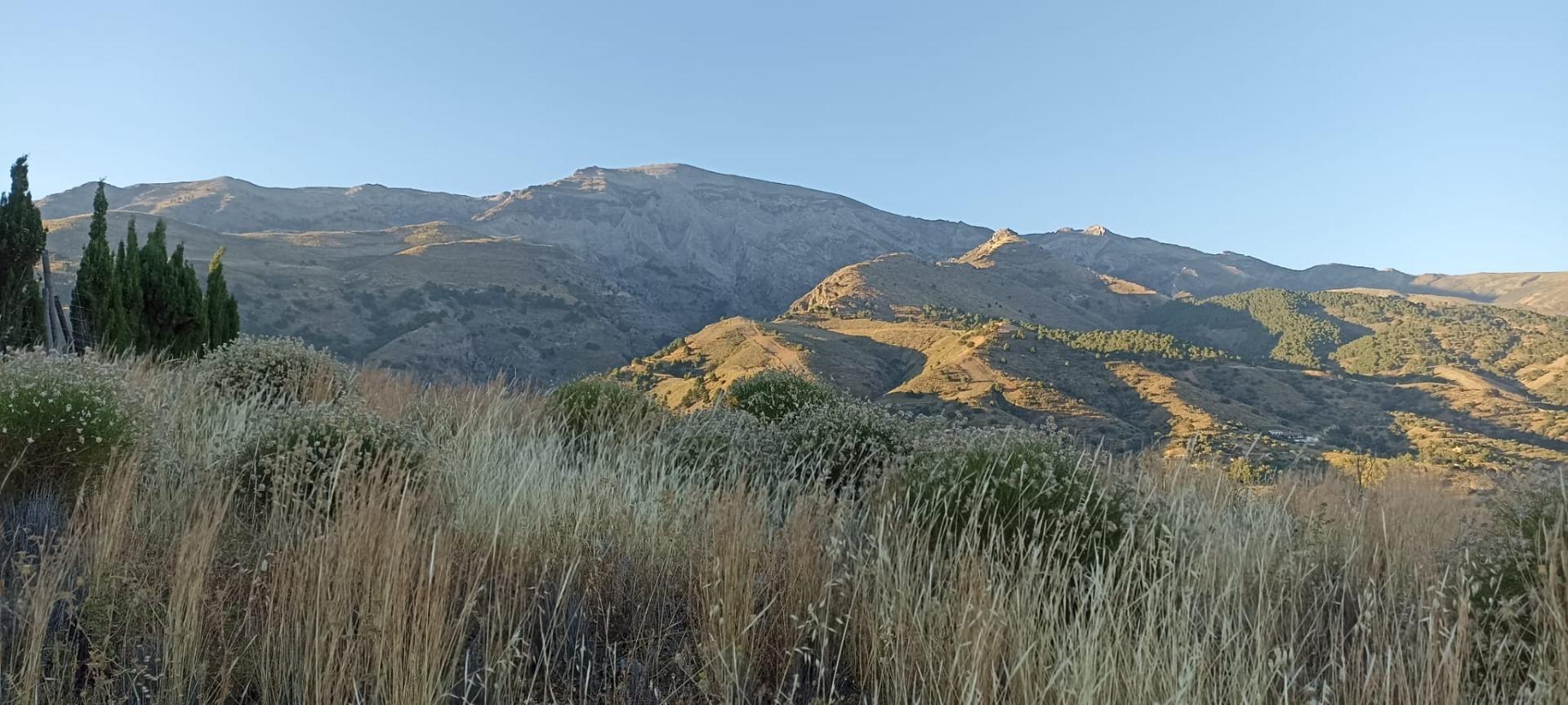 Plot in Sedella