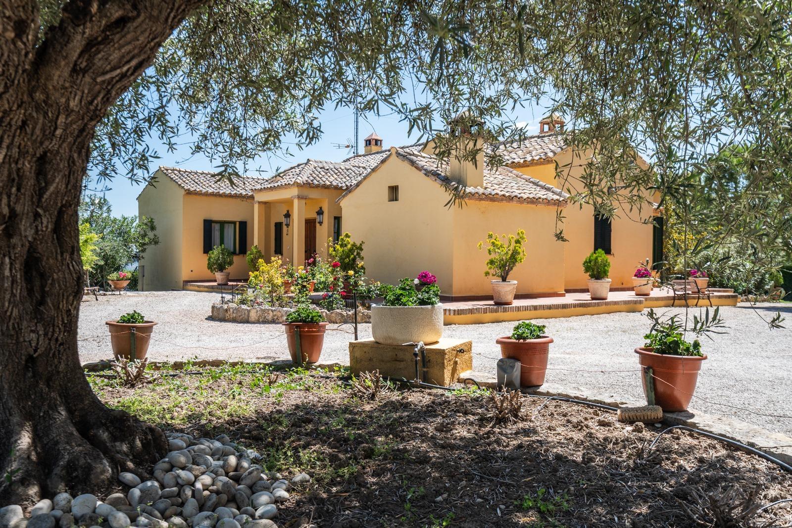 Apartment in Chinchon