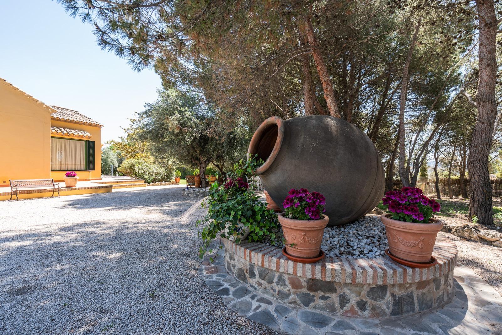 Apartment in Chinchon