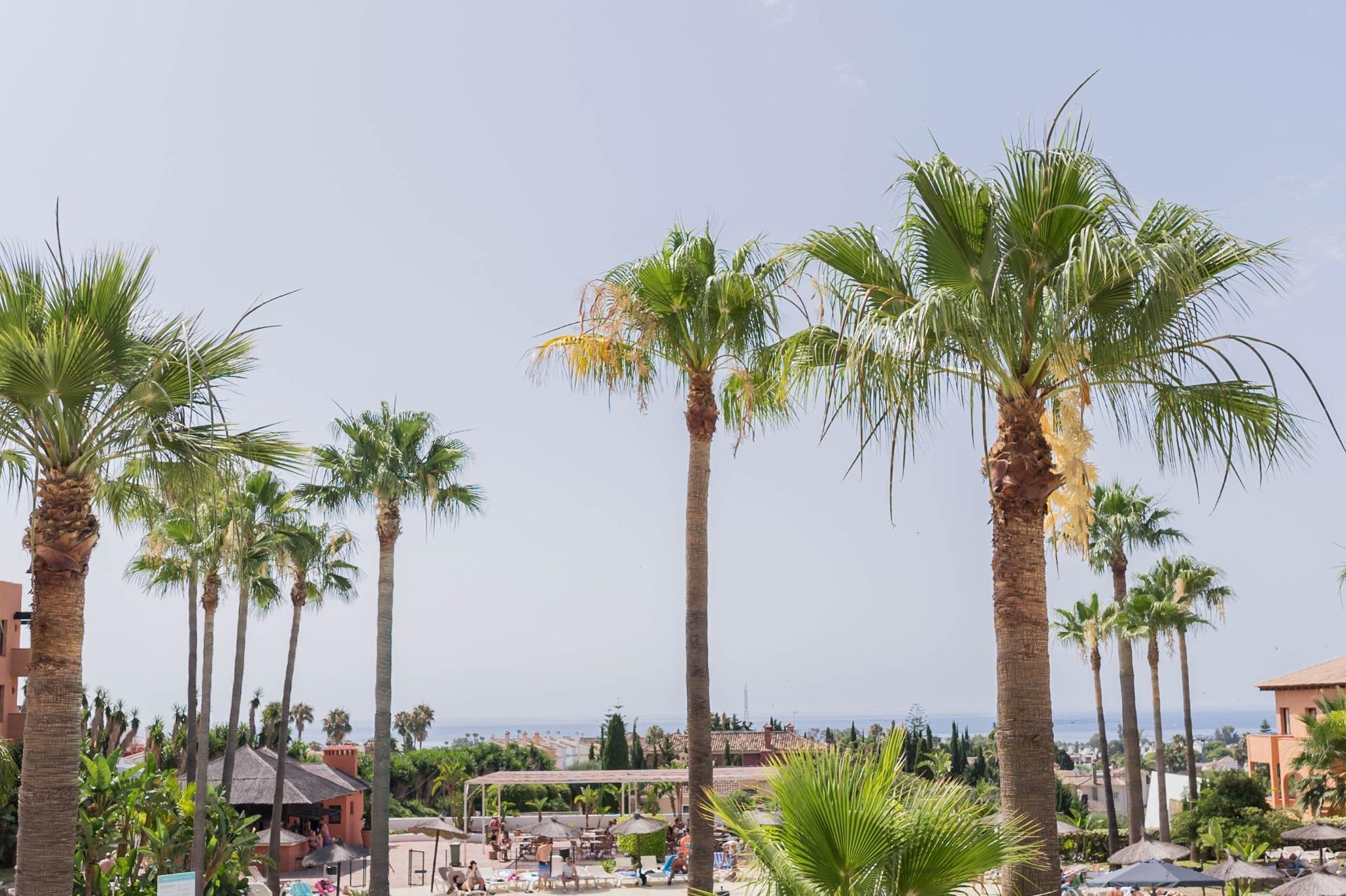 Apartment in Benahavis