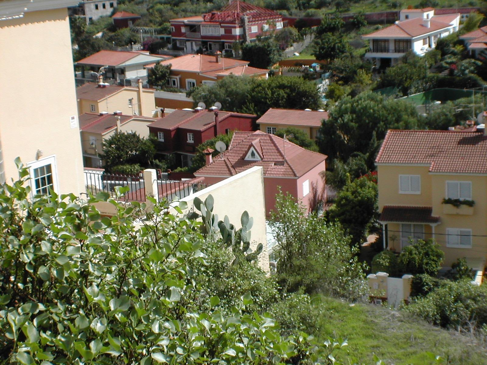 Fincas y solares-Venta-Santa BrÃ­gida-1888622-Foto-8