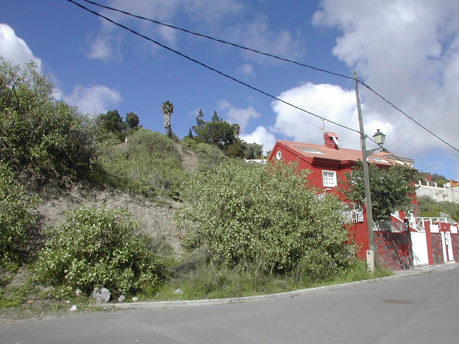 Fincas y solares-Venta-Santa BrÃ­gida-1888622-Foto-12