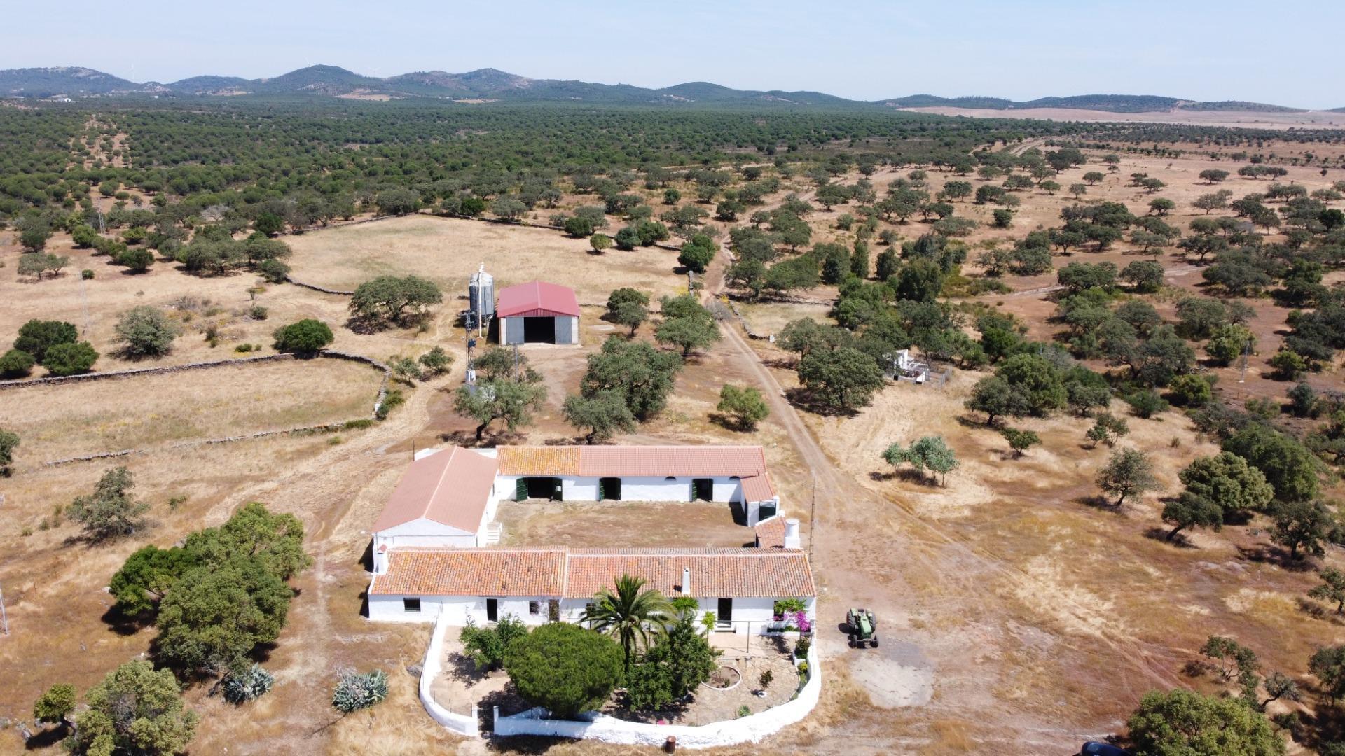 Apartment in Villanueva de los Castillejos