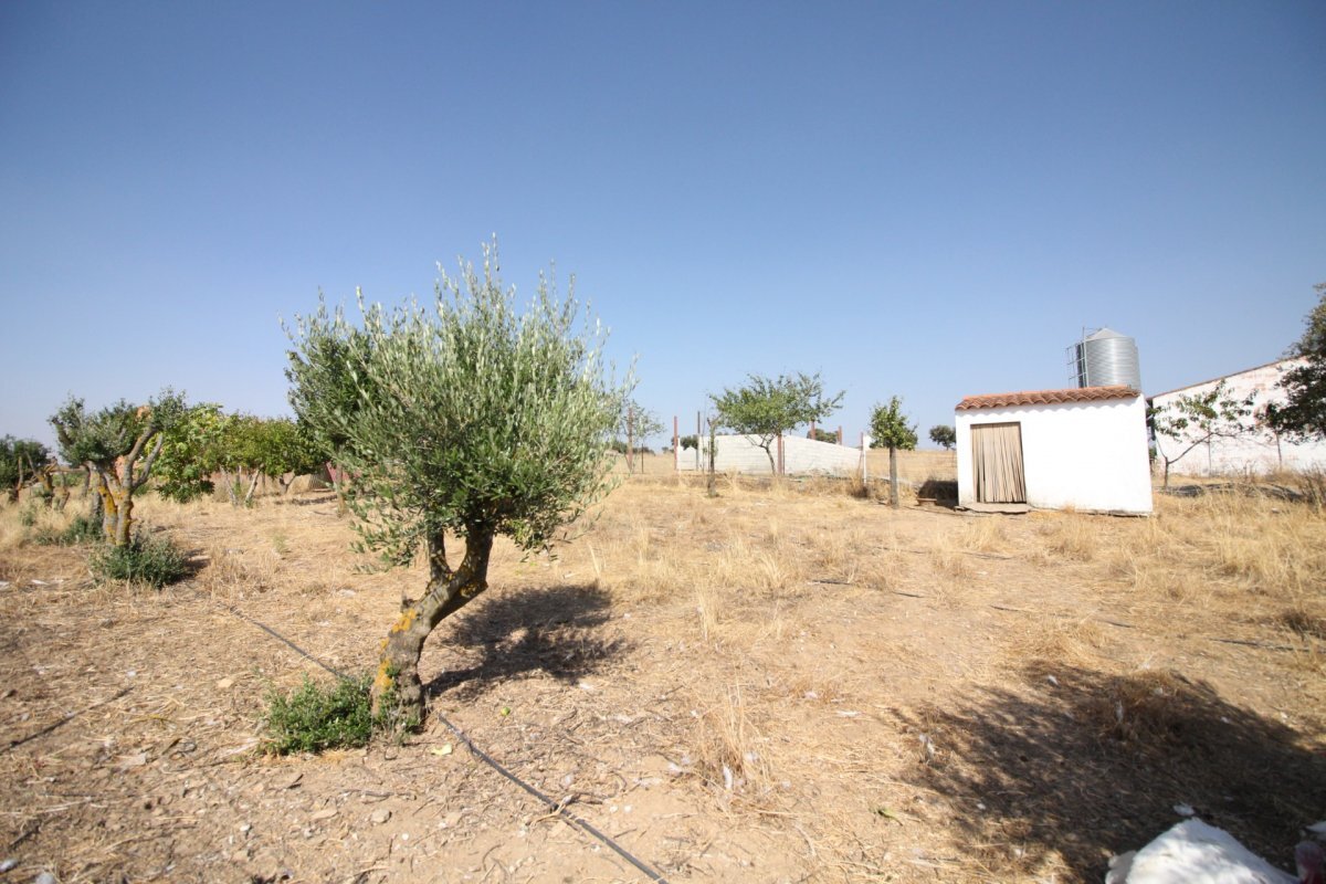 Villa in Córdoba