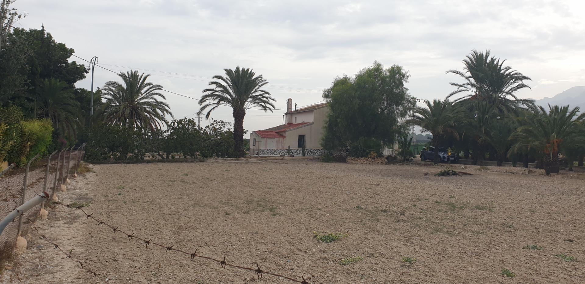 Pisos-Venta-Granja de Rocamora-1088119-Foto-2