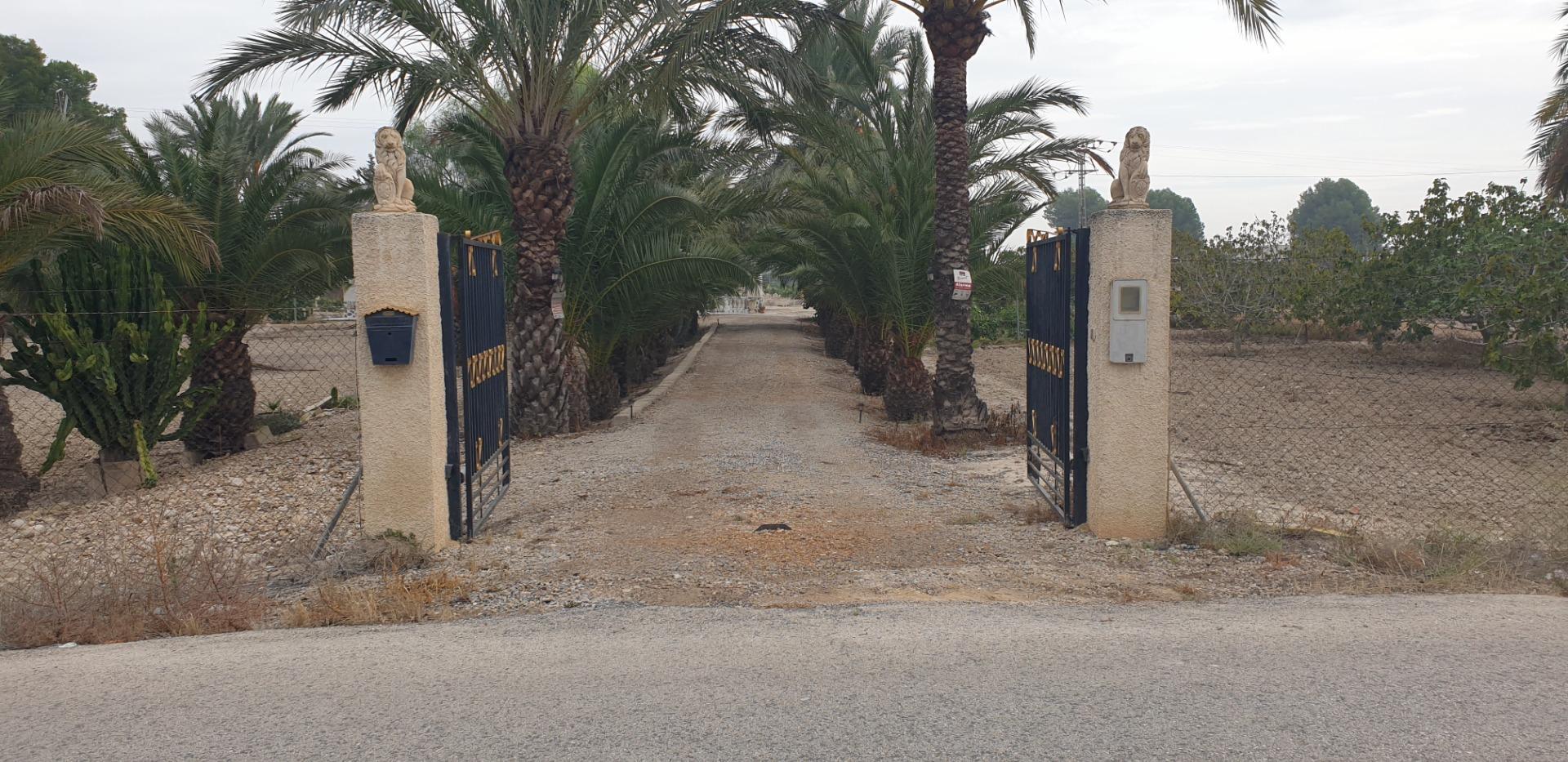 Pisos-Venta-Granja de Rocamora-1088119