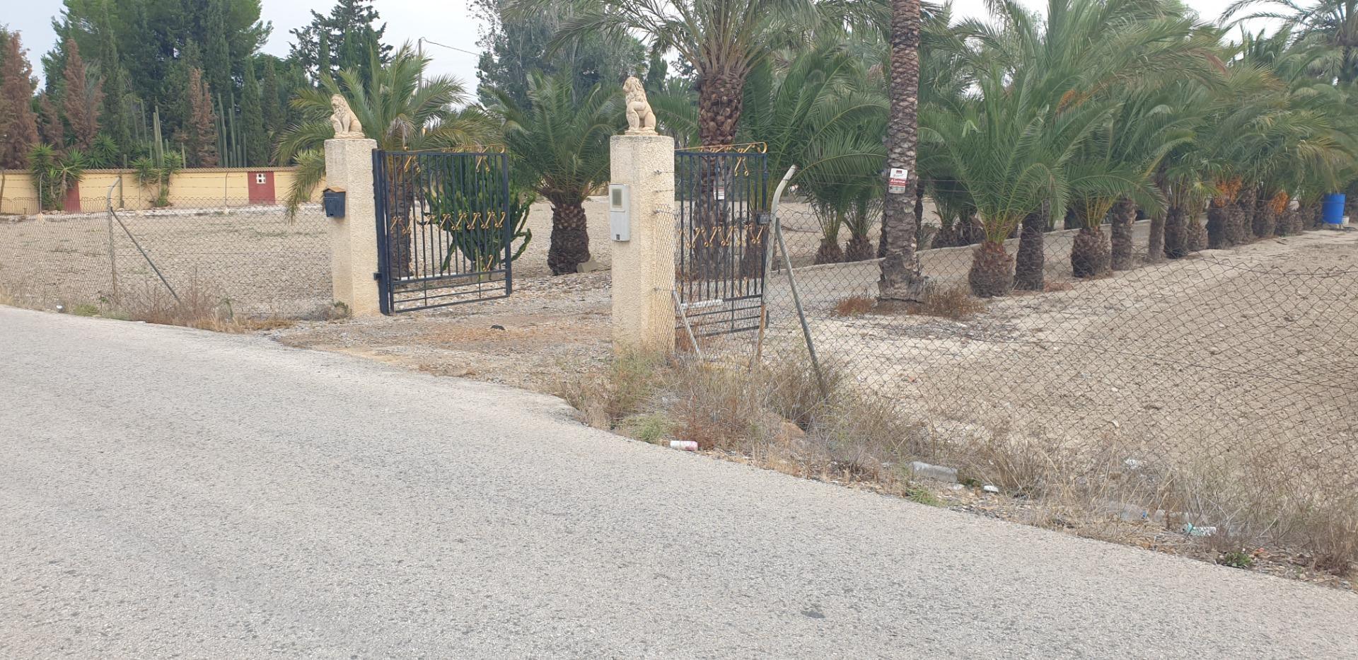 Pisos-Venta-Granja de Rocamora-1088119-Foto-3