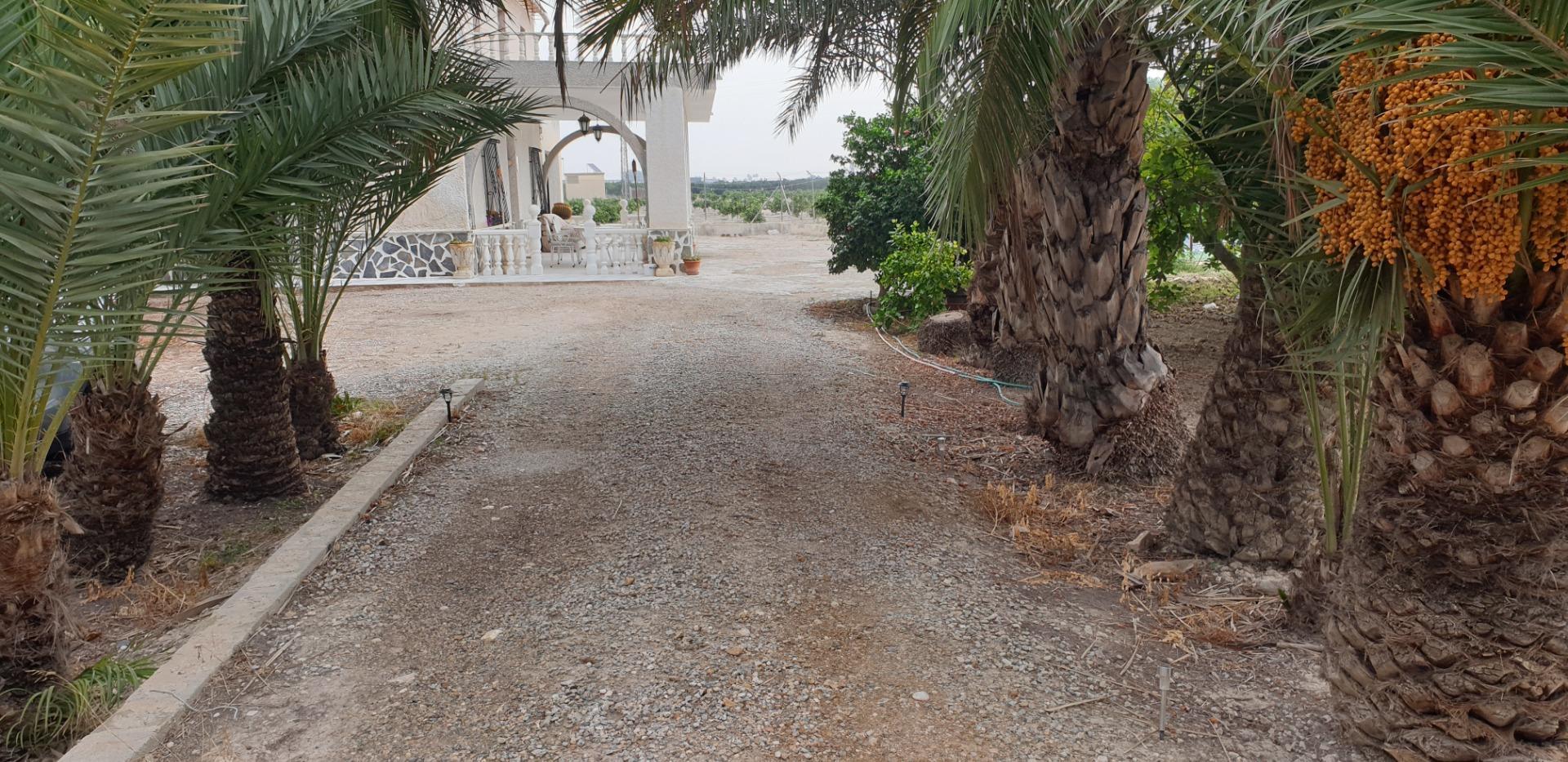 Pisos-Venta-Granja de Rocamora-1088119-Foto-7