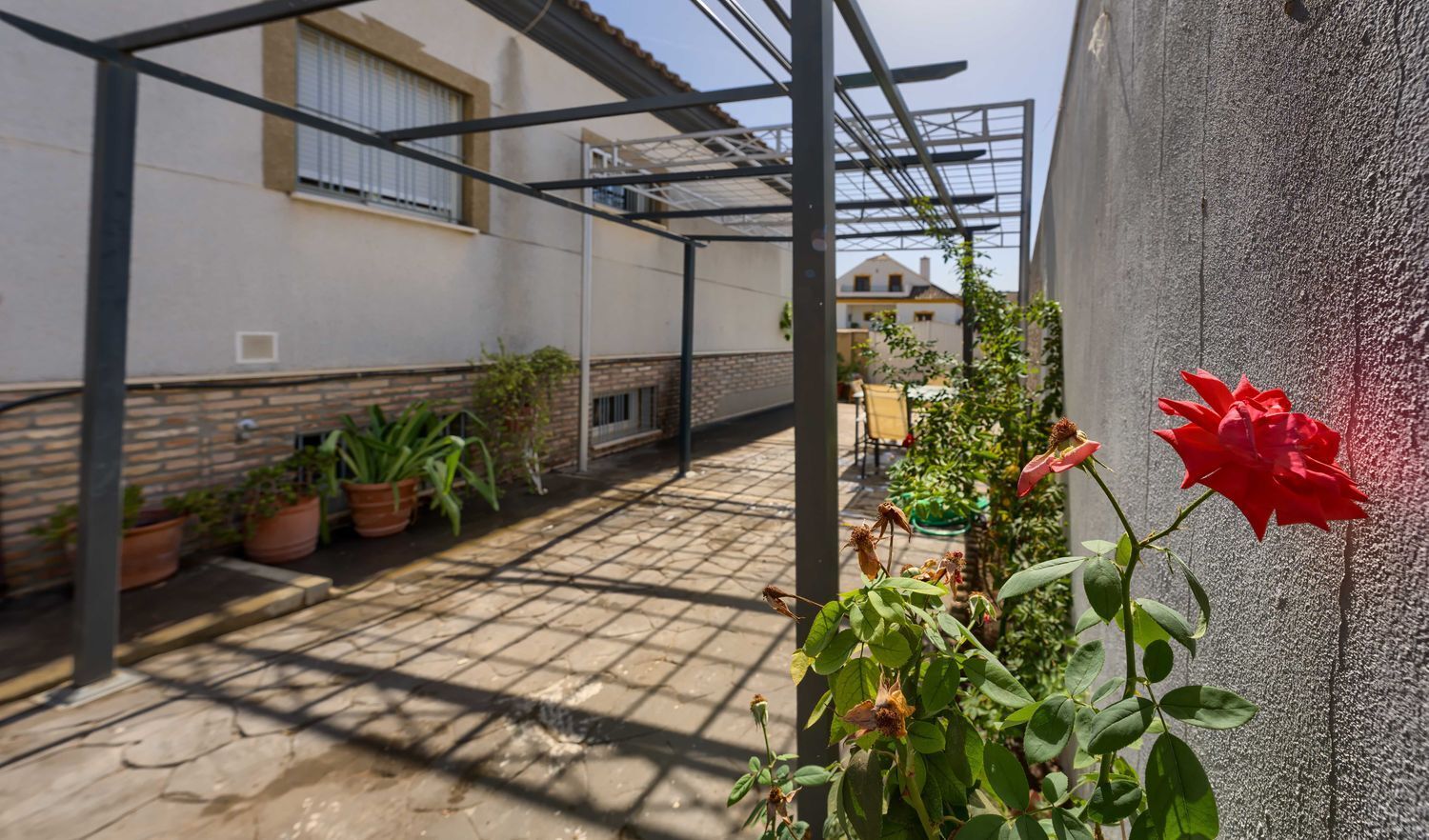 Casas o chalets-Venta-Almensilla-1888658-Foto-7
