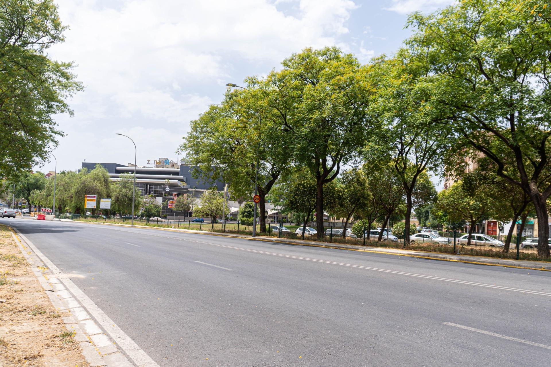 Pisos-Venta-Burguillos-1749632-Foto-38