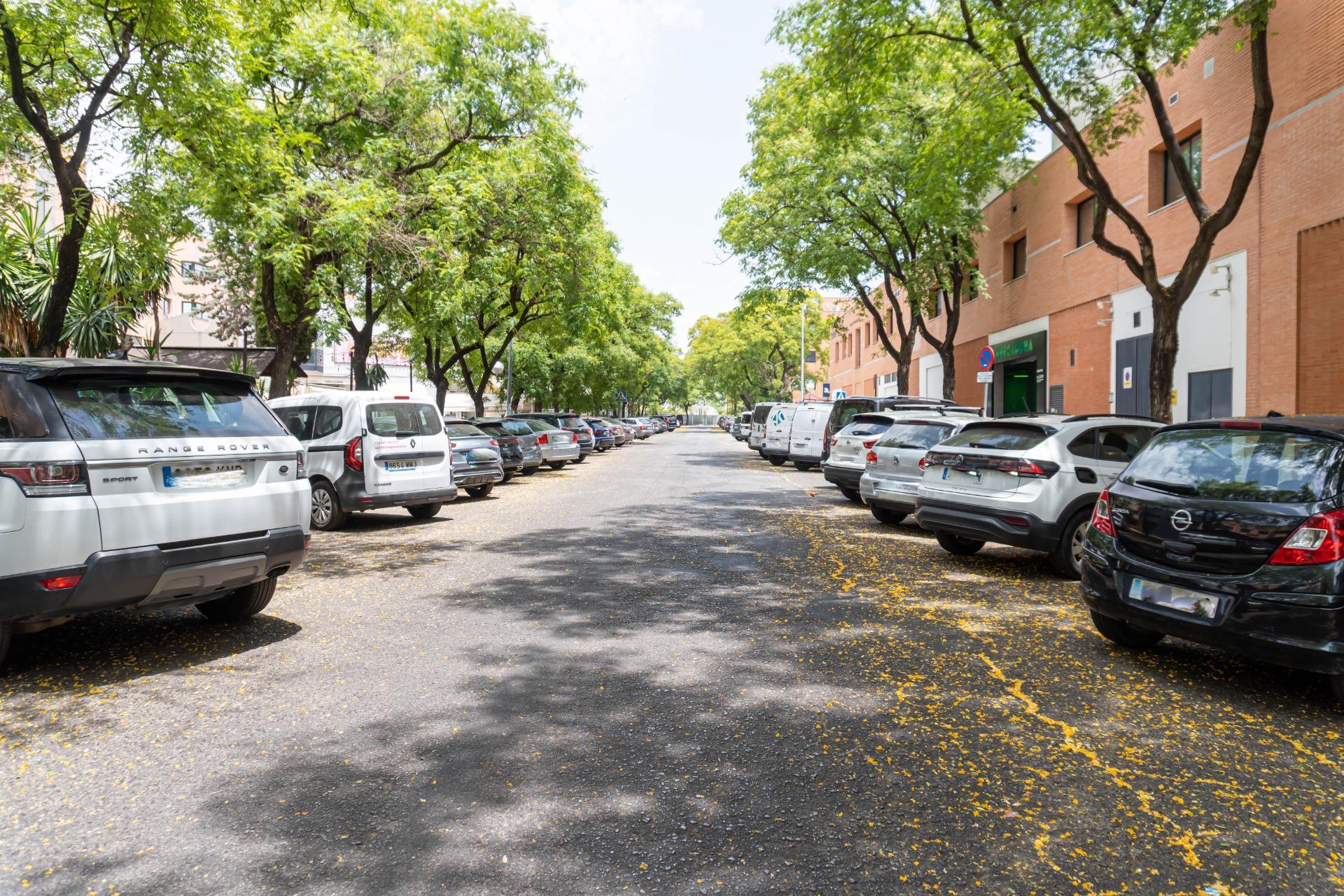 Pisos-Venta-Burguillos-1749632-Foto-37