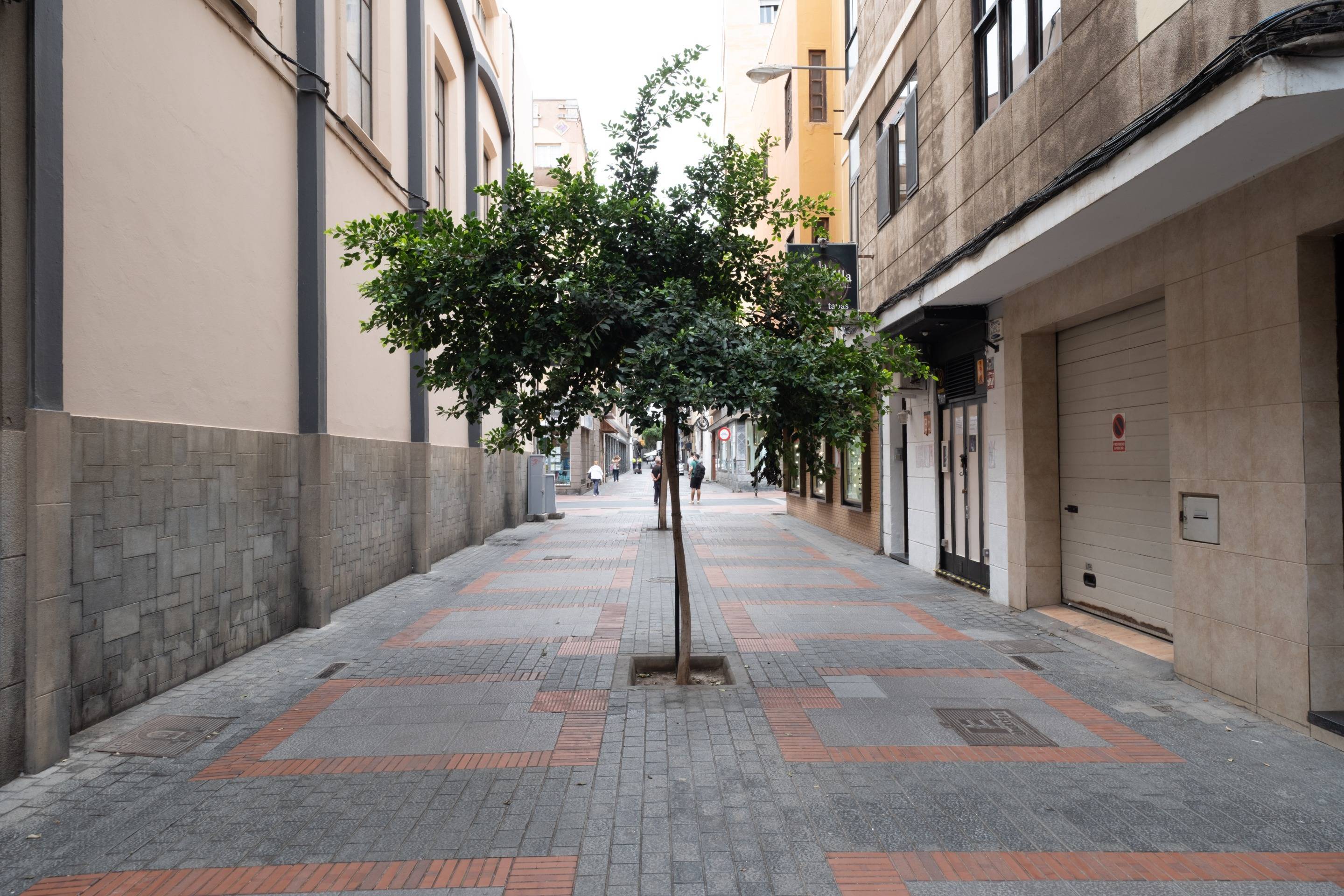 Pisos-Venta-Las Palmas de Gran Canaria-1876819-Foto-4