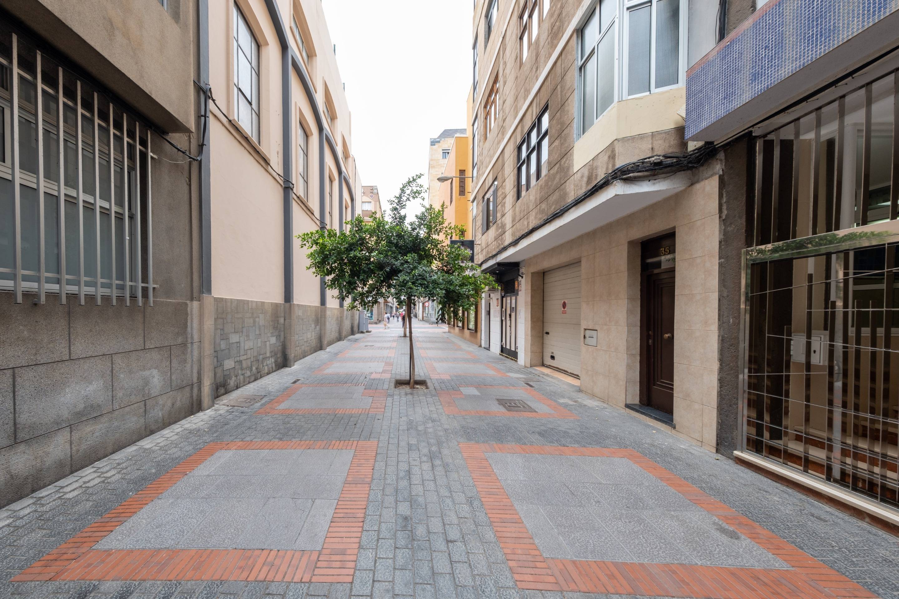 Pisos-Venta-Las Palmas de Gran Canaria-1876819-Foto-31