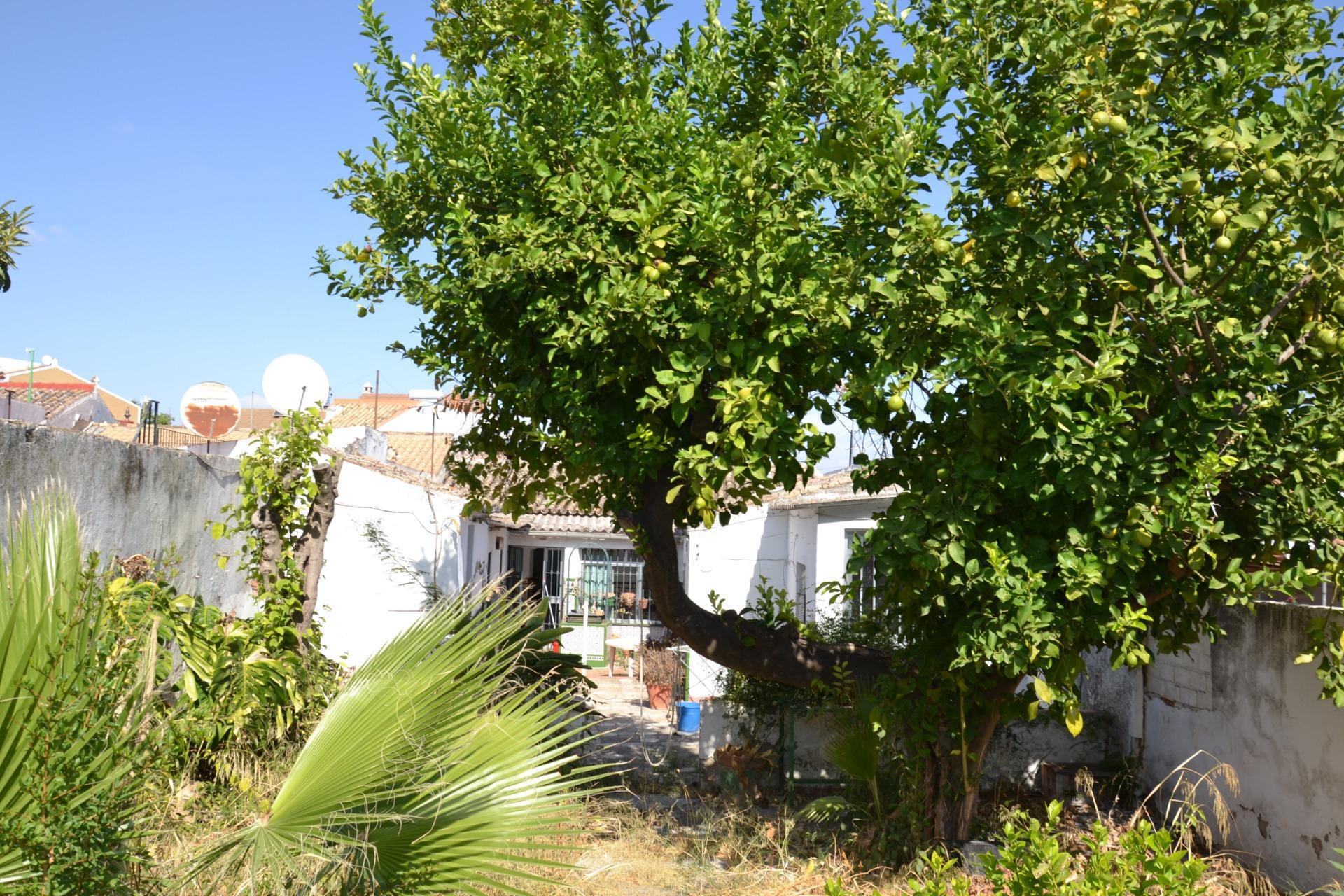 Casas o chalets-Venta-Castilleja de la Cuesta-1893271-Foto-44