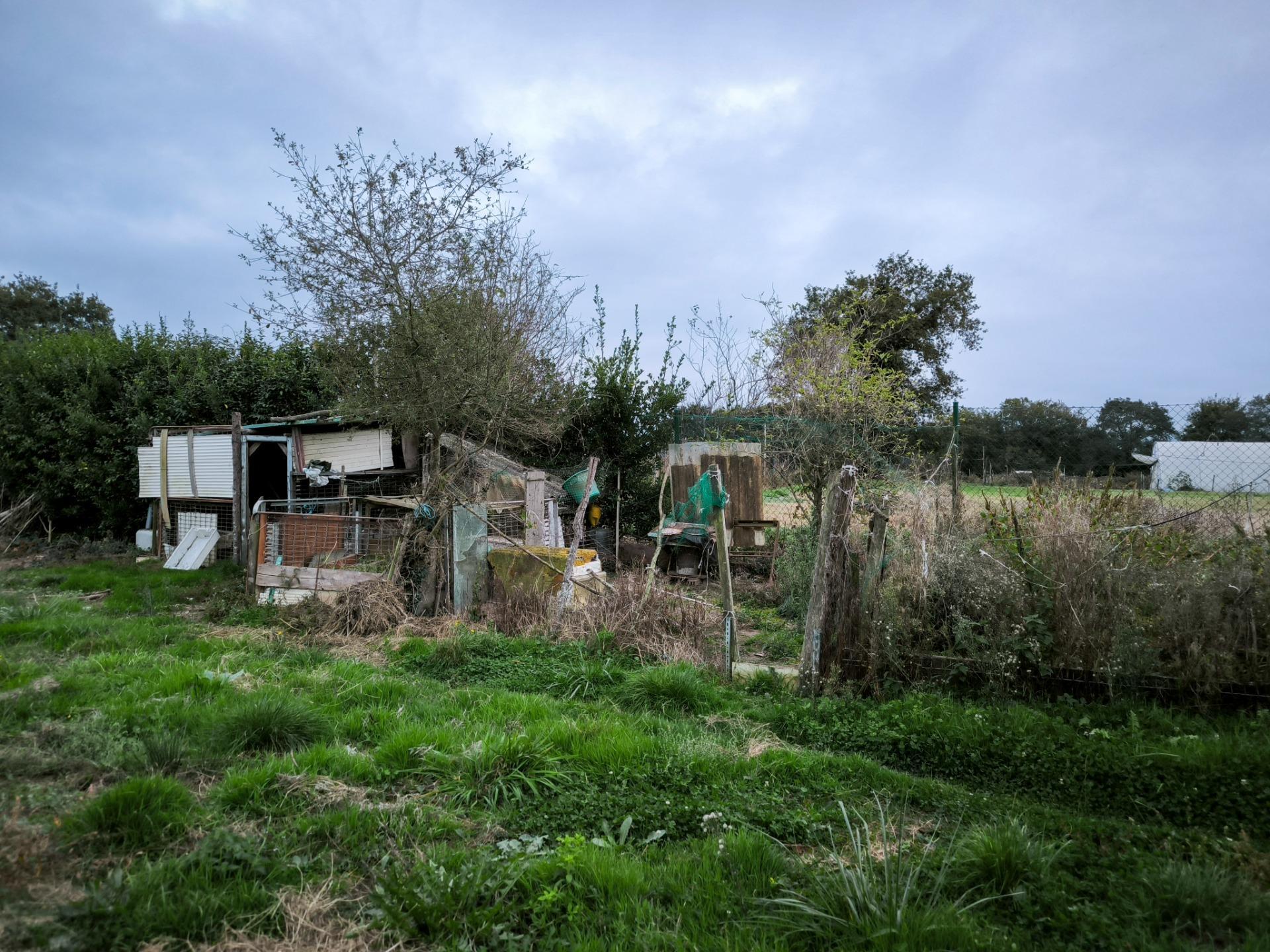 Casas o chalets-Venta-Siero-1893304-Foto-7
