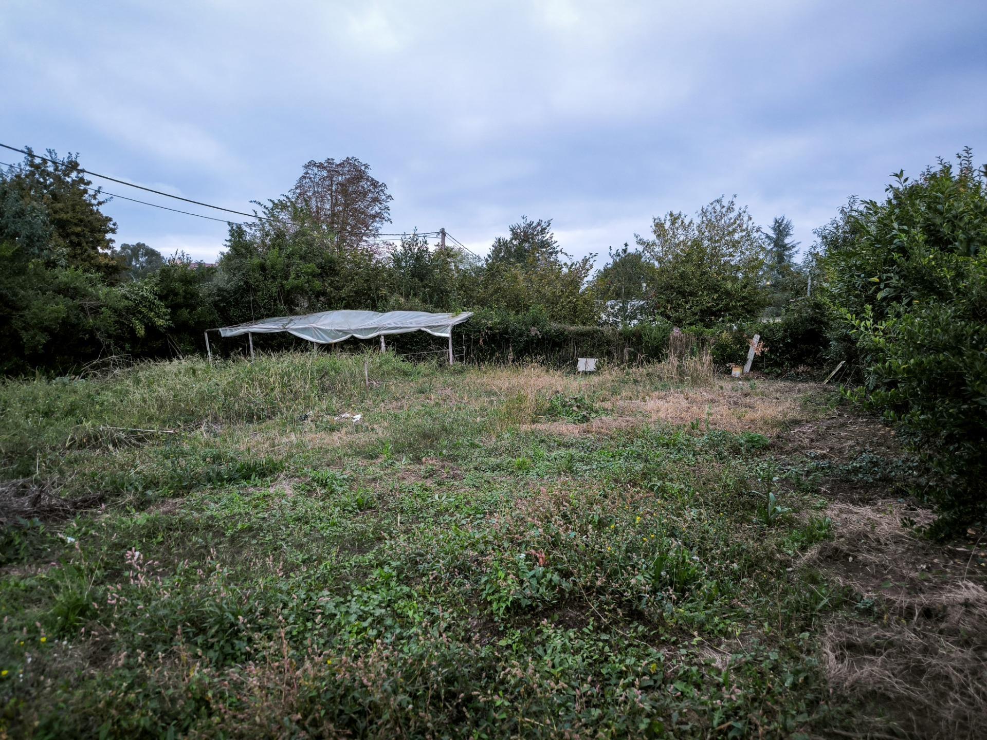 Casas o chalets-Venta-Siero-1893304-Foto-8