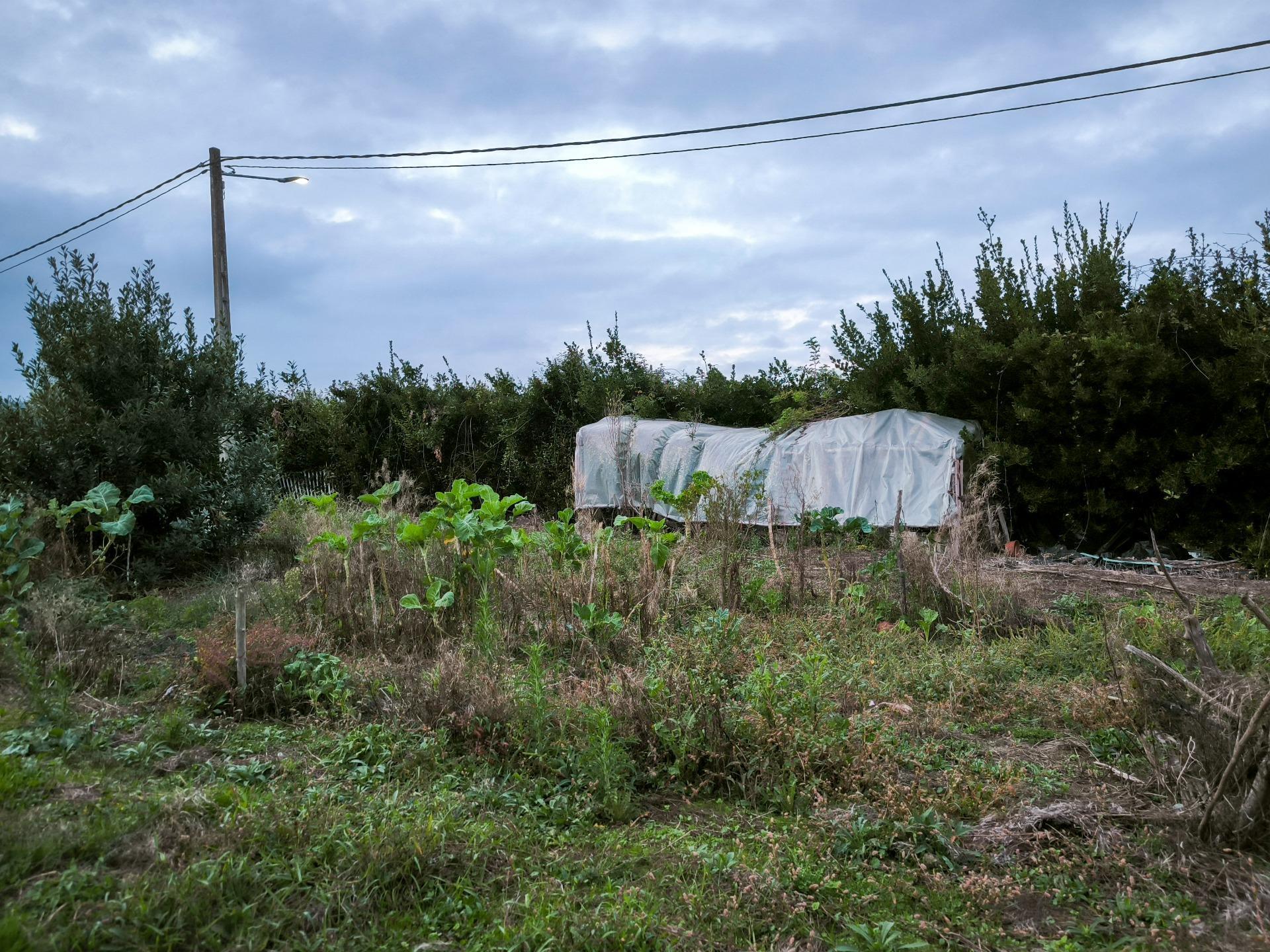 Casas o chalets-Venta-Siero-1893304-Foto-11
