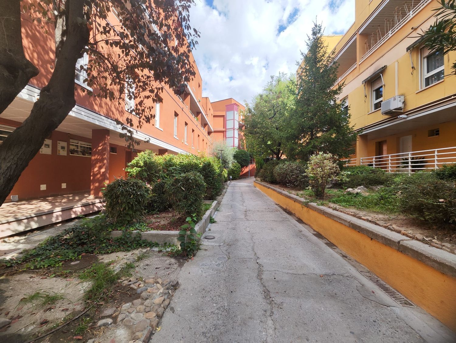 Pisos-Venta-Rivas-Vaciamadrid-1893655-Foto-44