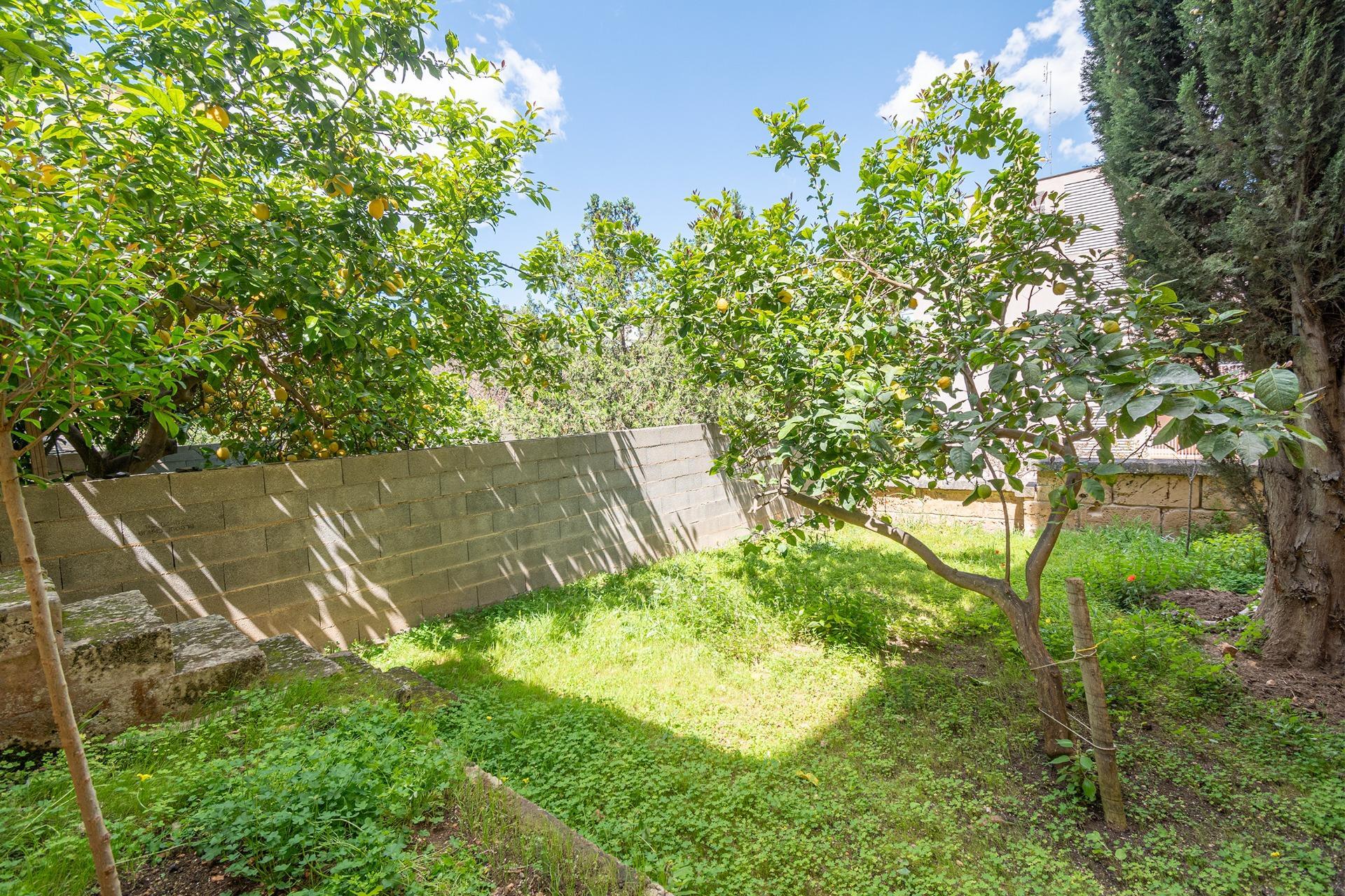 Casas o chalets-Venta-Palma de Mallorca-1718215-Foto-40