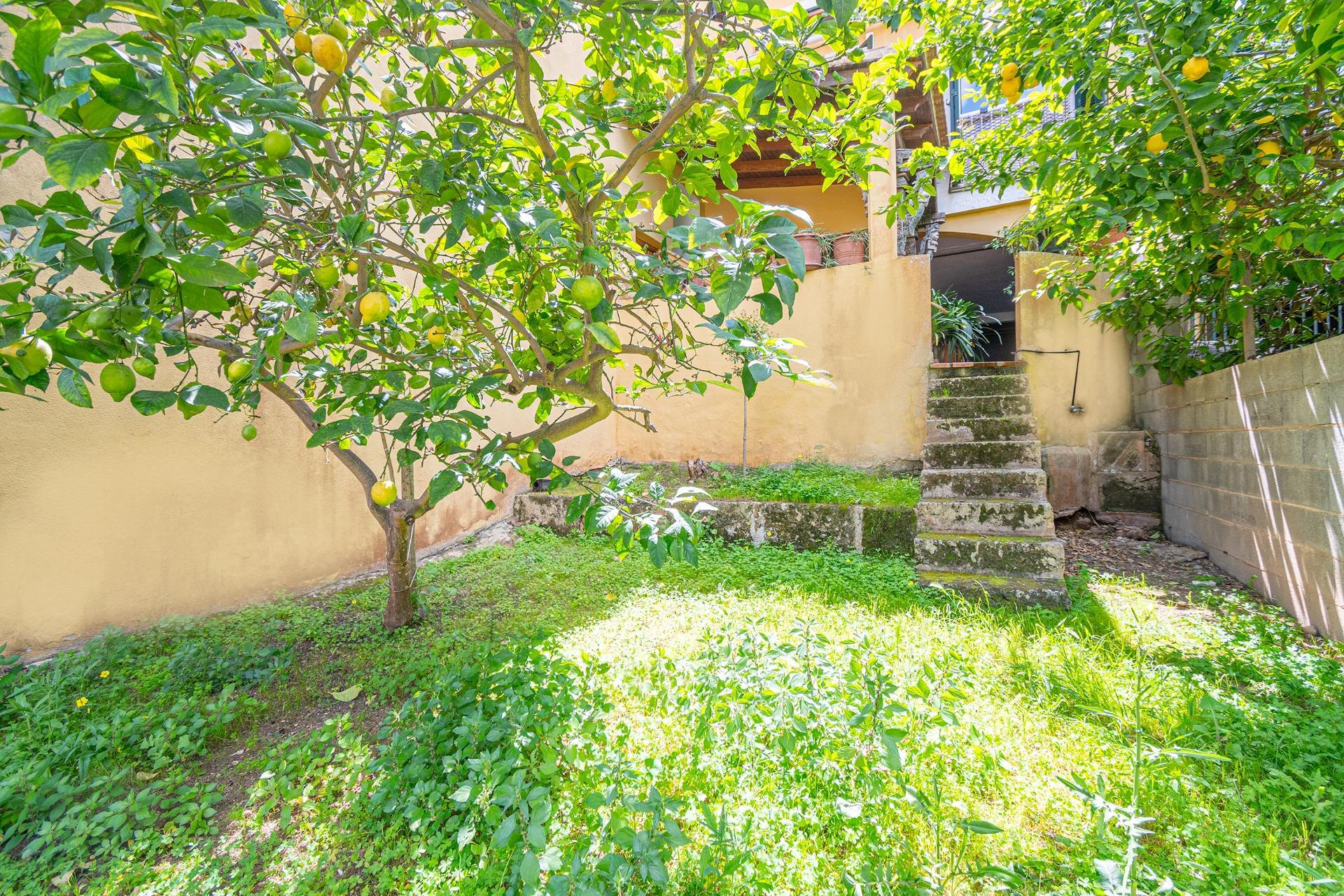 Casas o chalets-Venta-Palma de Mallorca-1718215-Foto-39