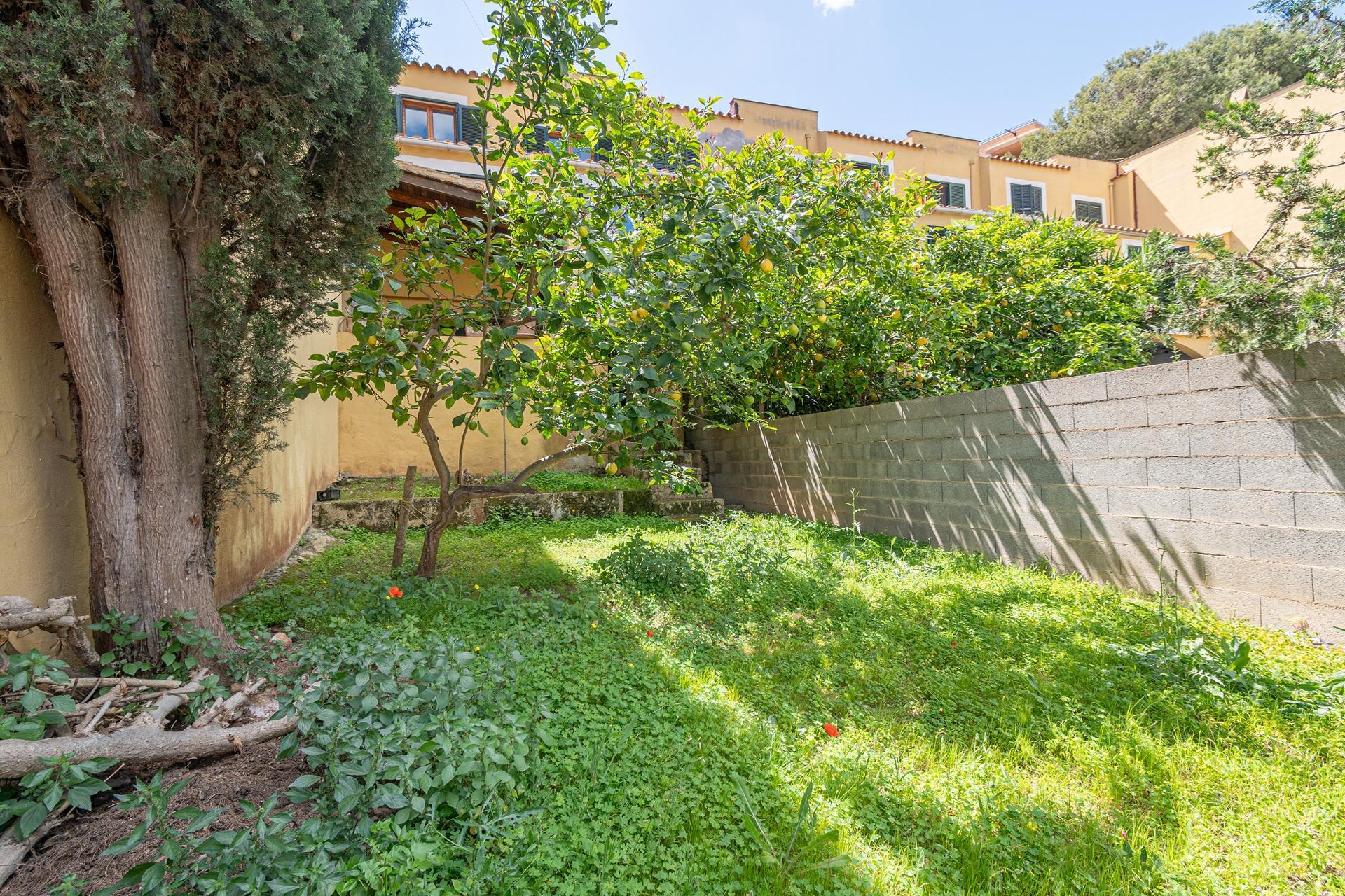 Casas o chalets-Venta-Palma de Mallorca-1718215-Foto-41