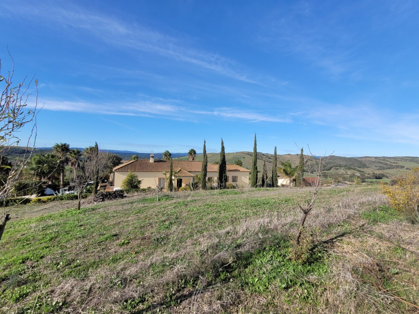 Casas o chalets-Venta-1832517