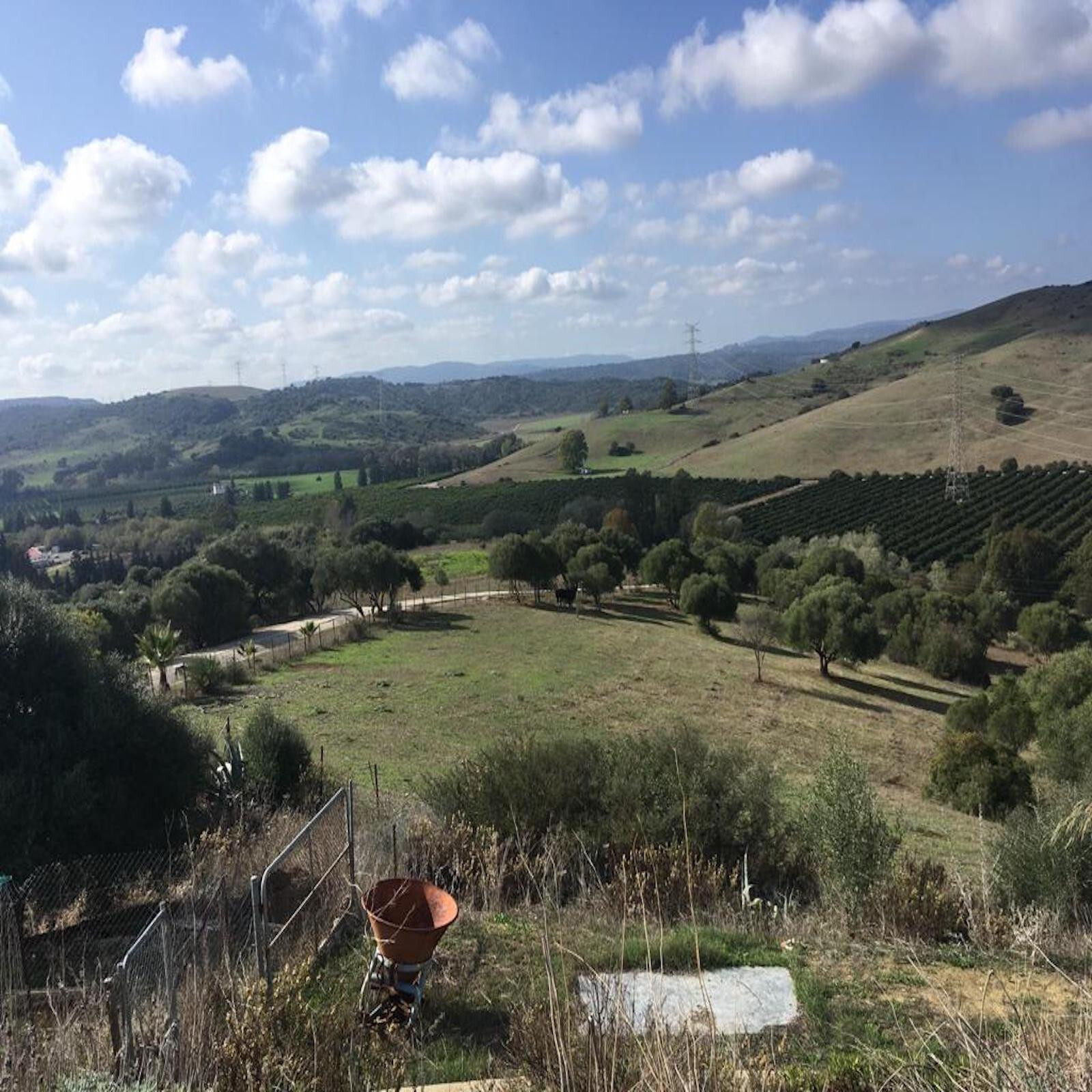 Casas o chalets-Venta-San Martin del Tesorillo-1832517-Foto-54