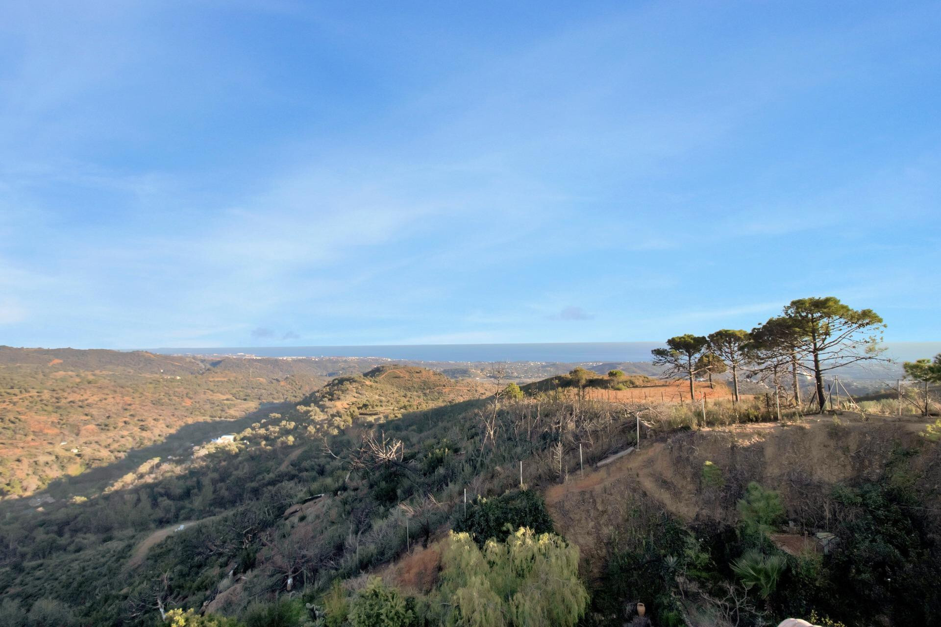 Casas o chalets-Venta-Estepona-1830744-Foto-41