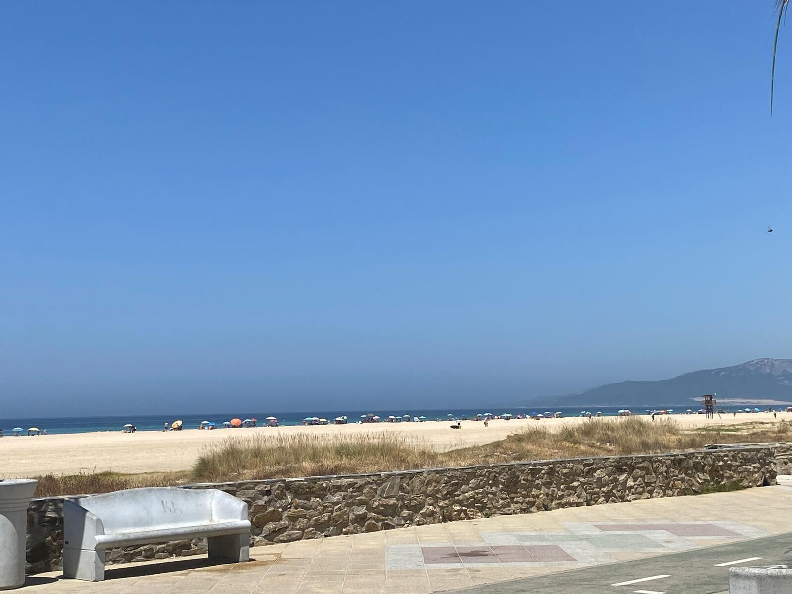 Pisos-Venta-Tarifa-1832834-Foto-20