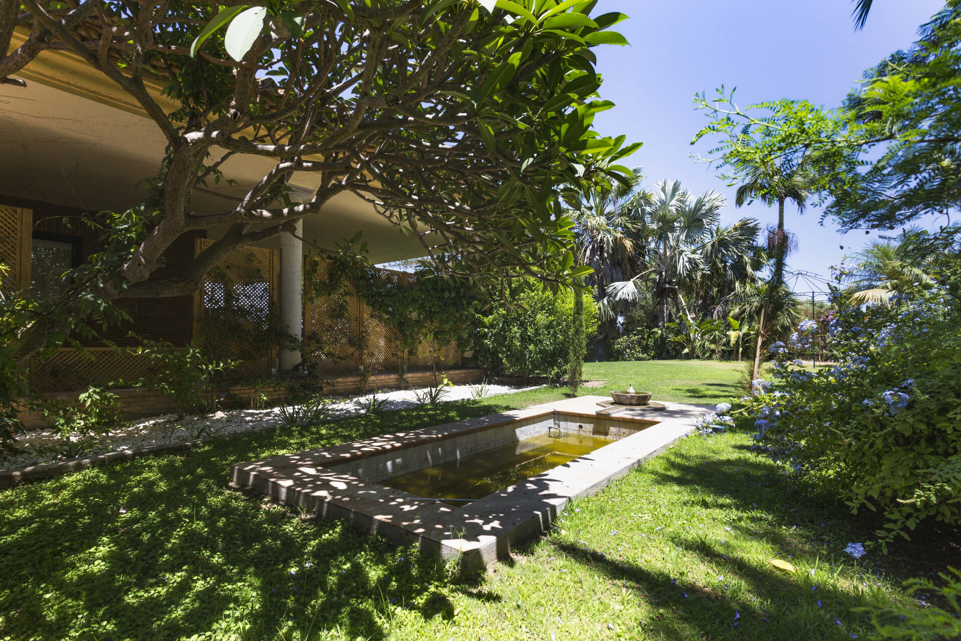 Casas o chalets-Venta-San Roque-1832840-Foto-5