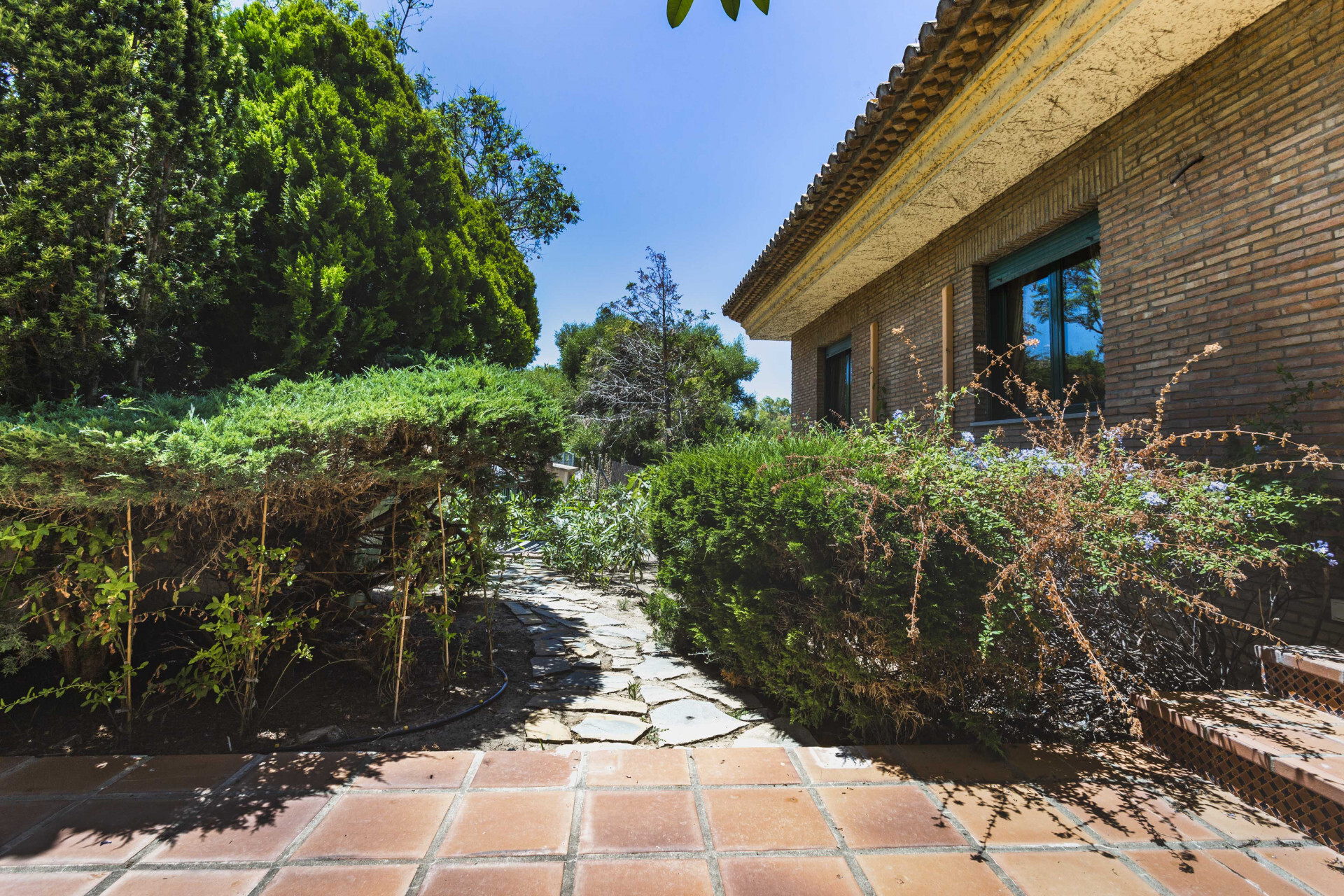 Casas o chalets-Venta-San Roque-1832840-Foto-6