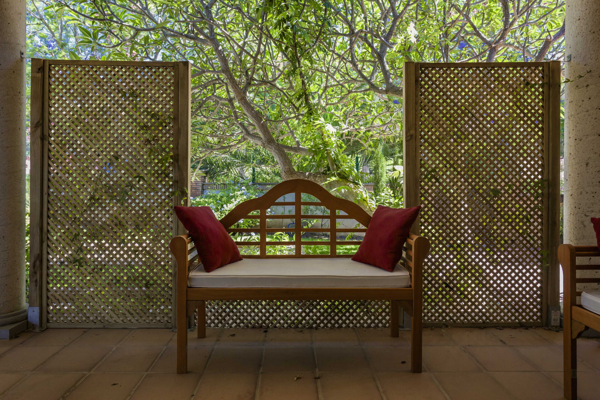 Casas o chalets-Venta-San Roque-1832840-Foto-53