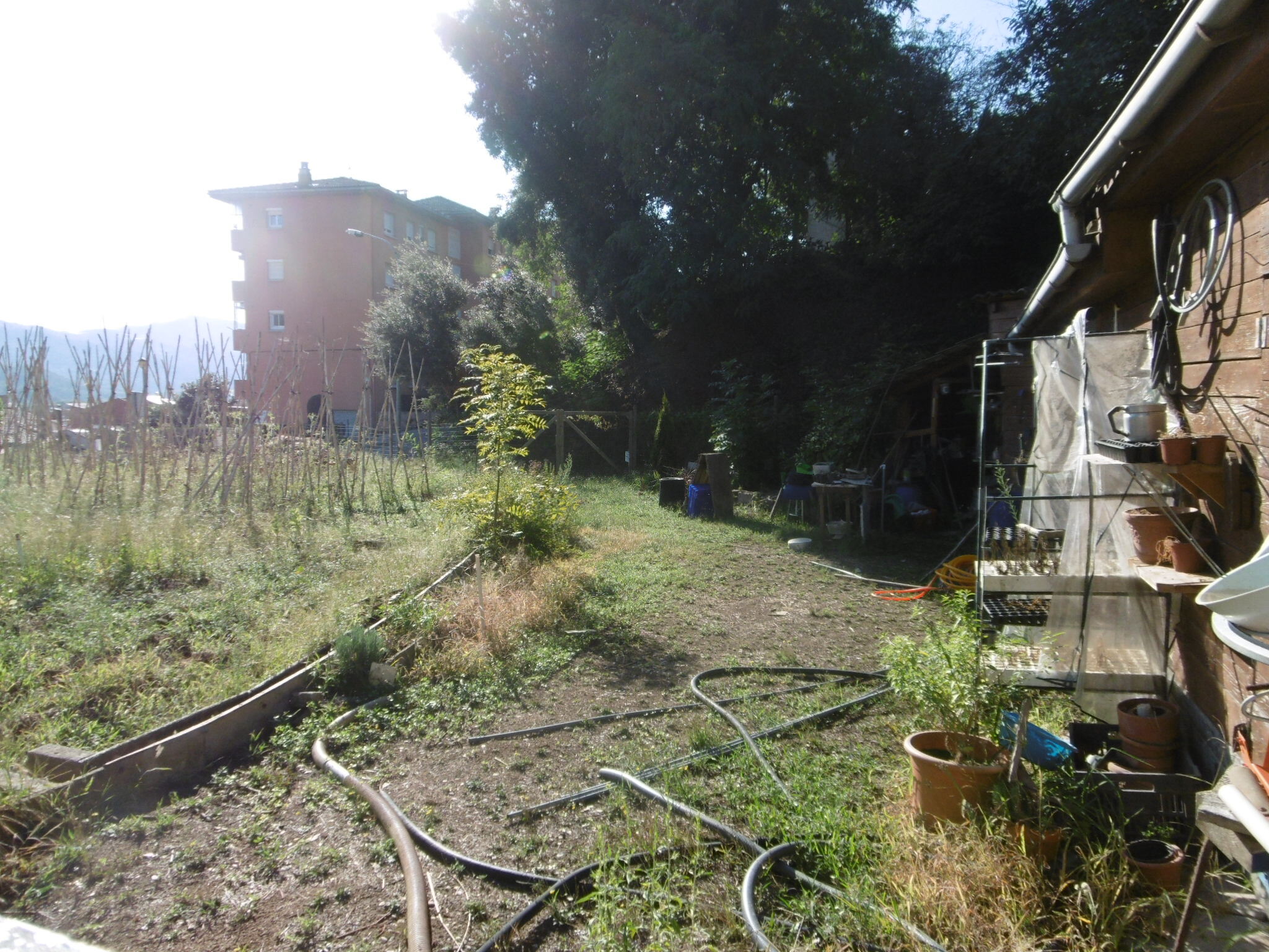 Fincas y solares-Venta-ArbÃºcies-1893697-Foto-2